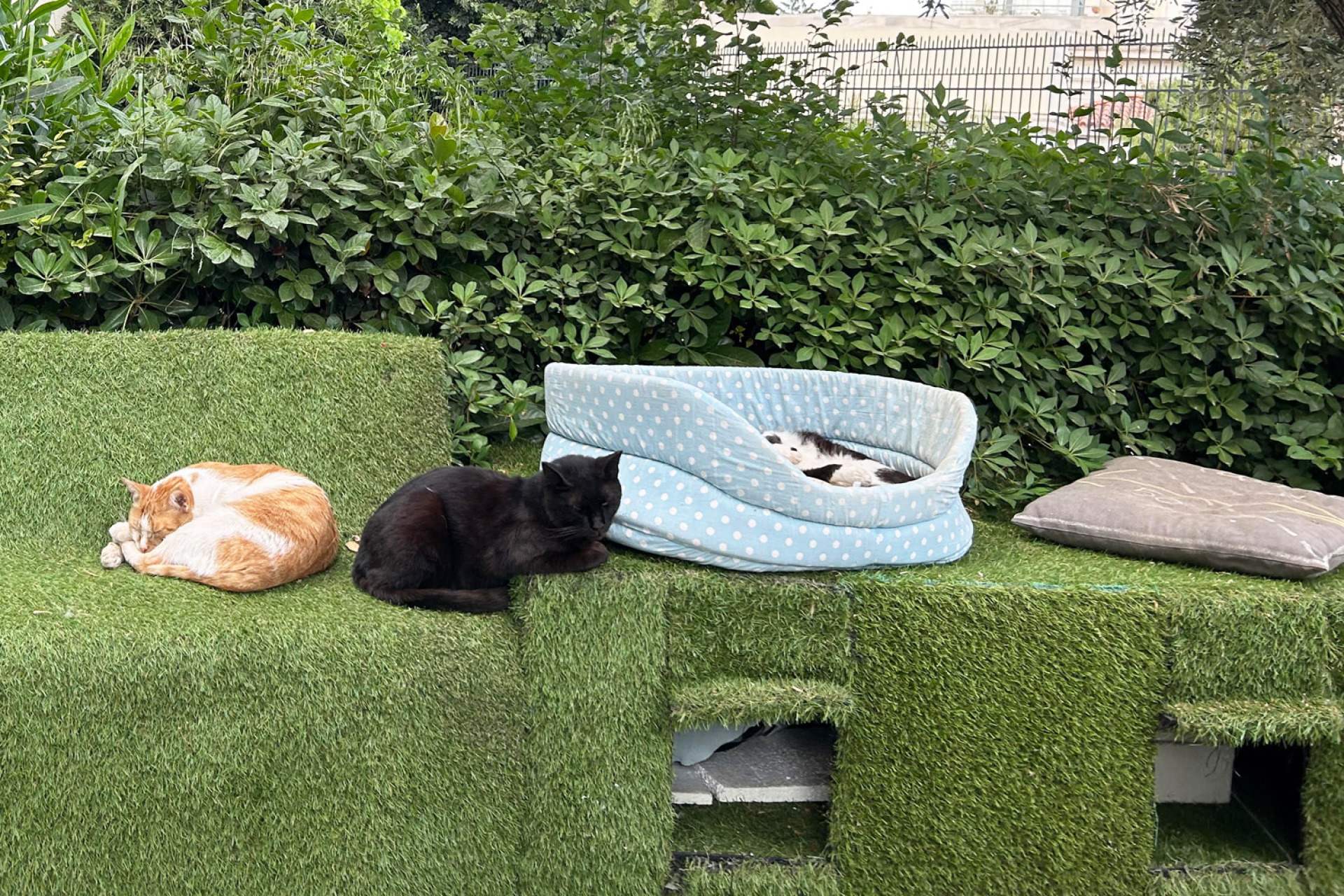 Ξενοκράτους, Κολωνάκι