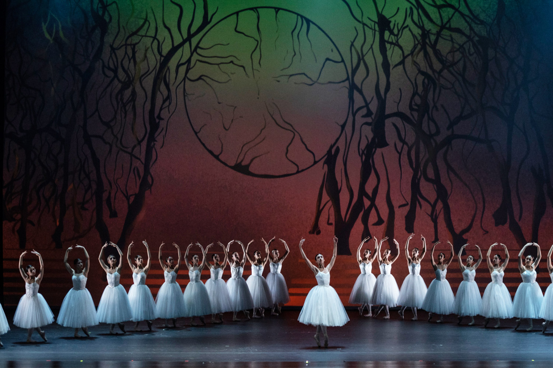 Εθνική Λυρική Σκηνή: Backstage πρόβα «Progression - Ζιζέλ»