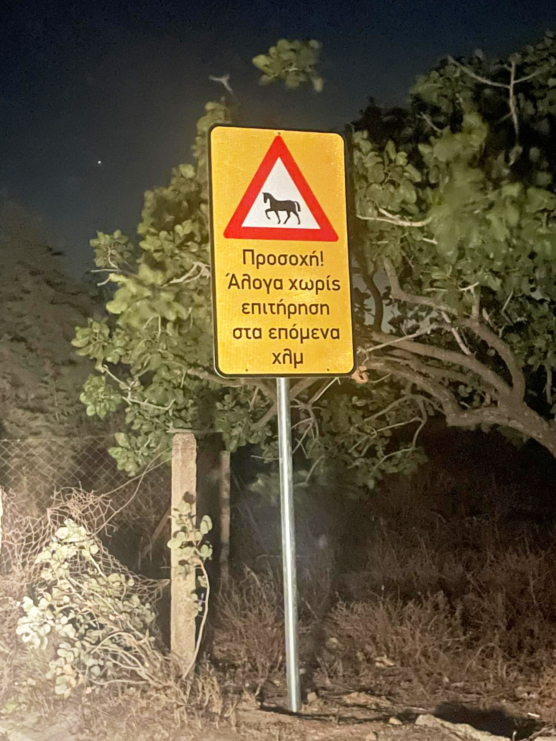 H ιστορία των 100 αδέσποτων αλόγων του Υμηττού