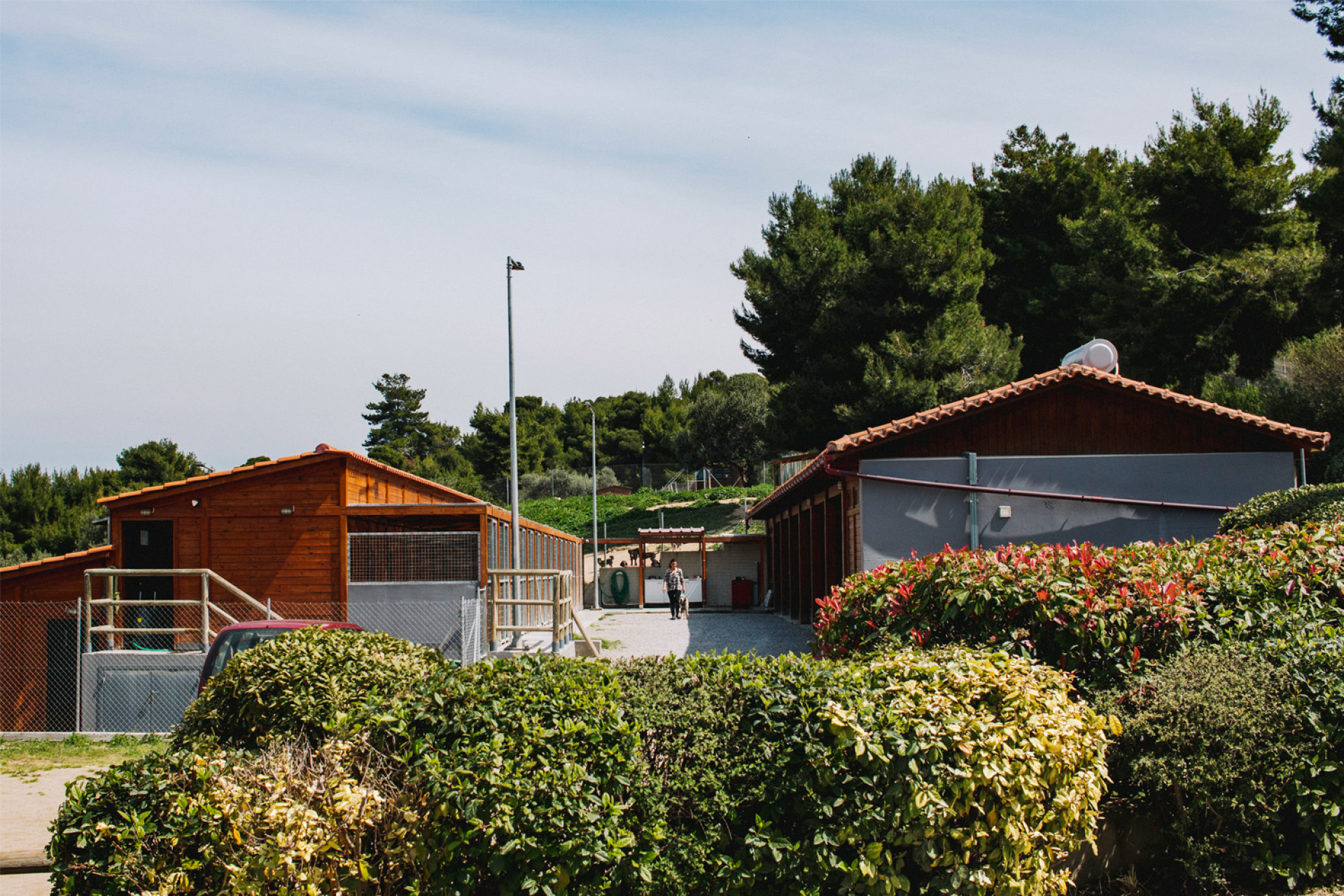 Το καταφύγιο ζώων στον Ωρωπό