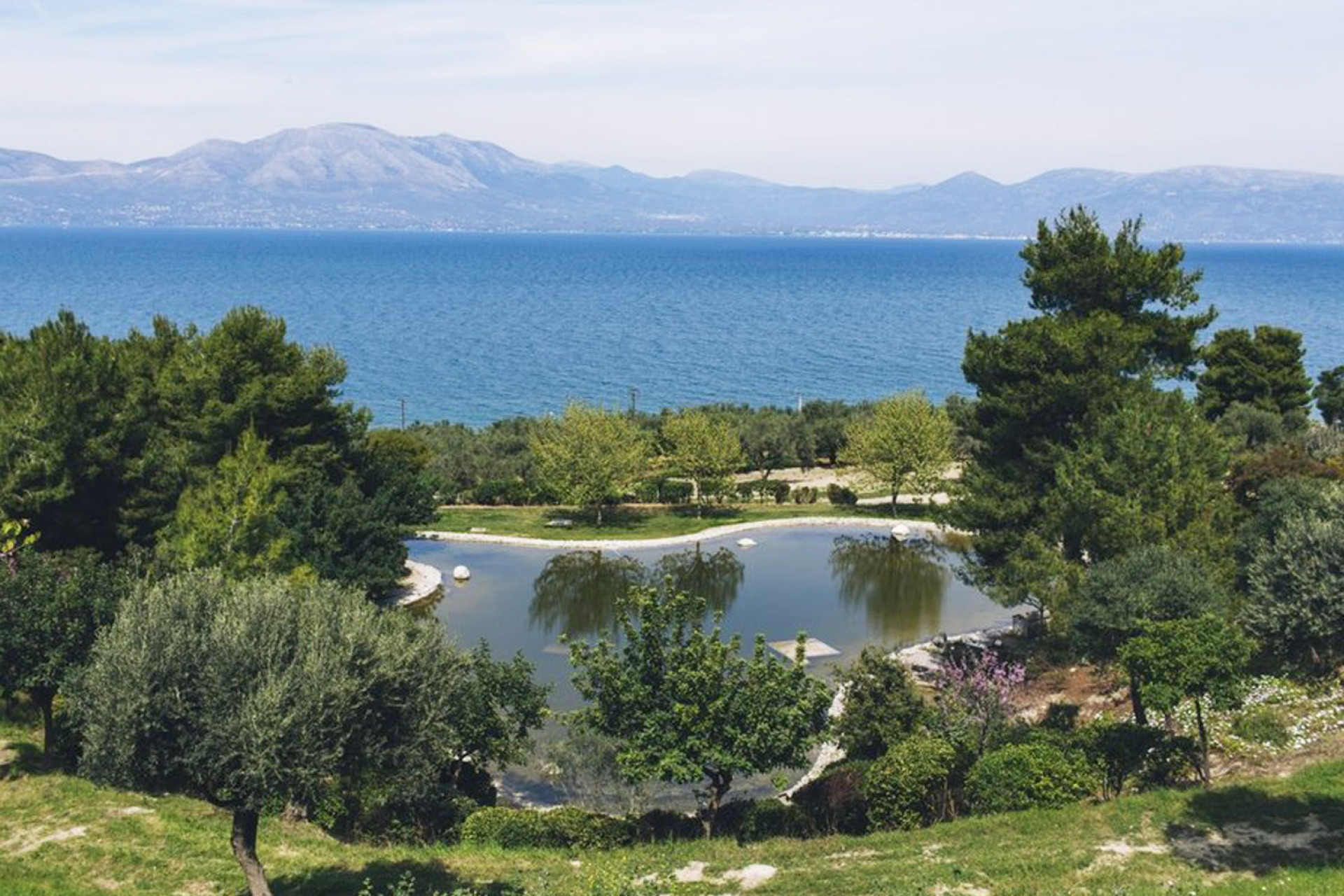 Το καταφύγιο ζώων στον Ωρωπό