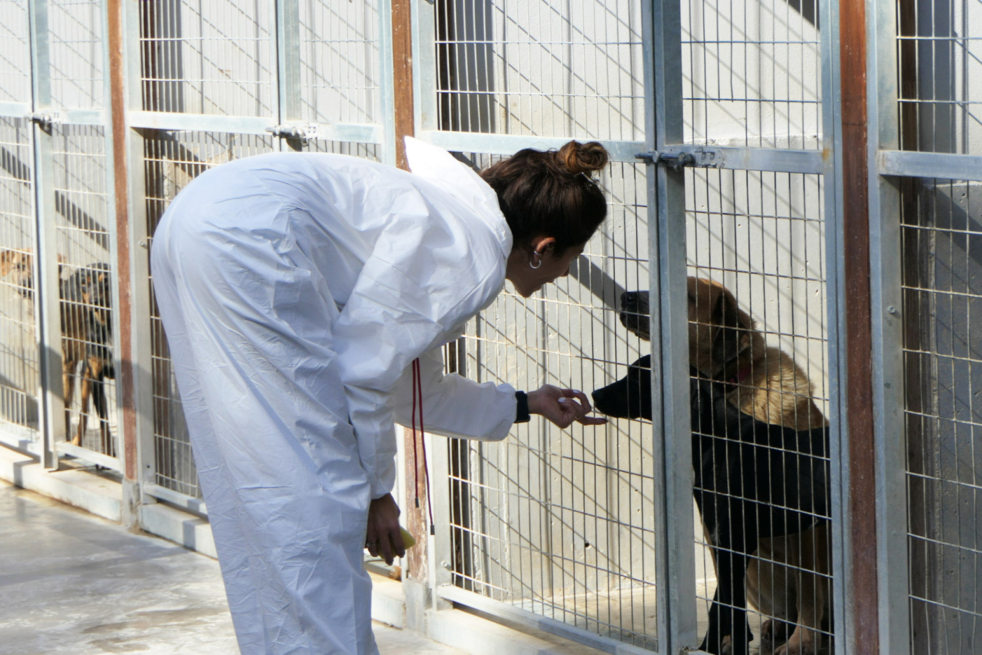 Στην SGS η προσφορά ενός εθελοντή είναι πολύτιμη
