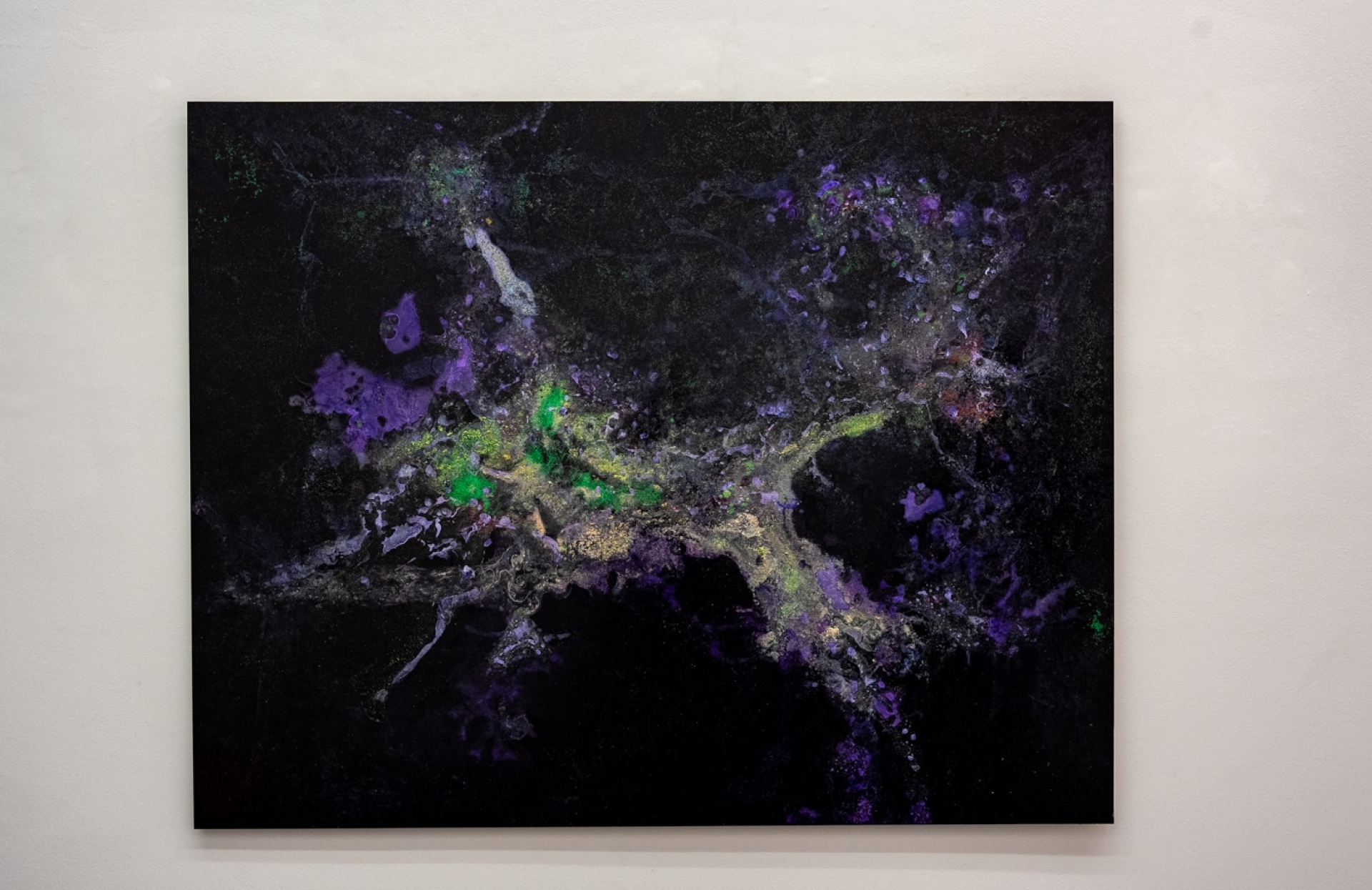 Donopoulos International Fine Arts, Έργο του Aljoscha