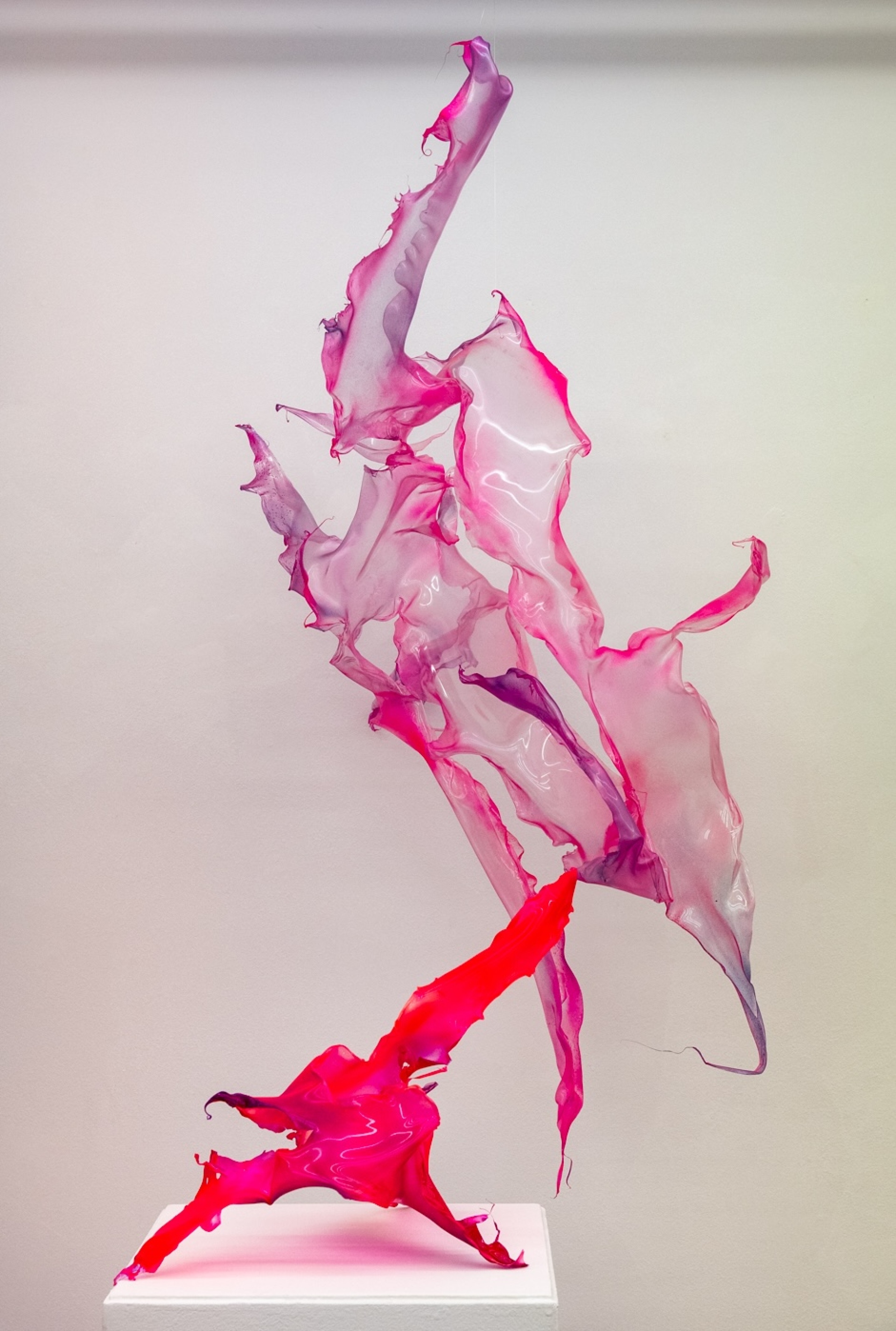 Donopoulos International Fine Arts, Έργο του Aljoscha