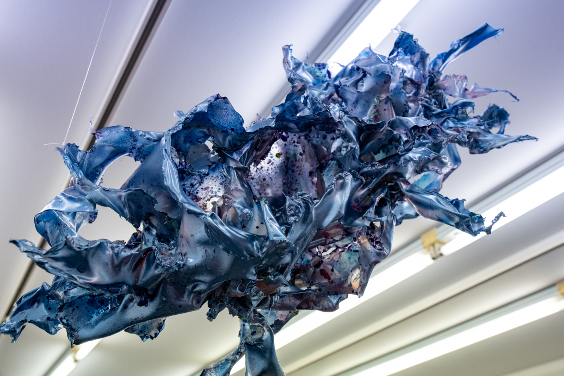 Donopoulos International Fine Arts, Έργο του Aljoscha