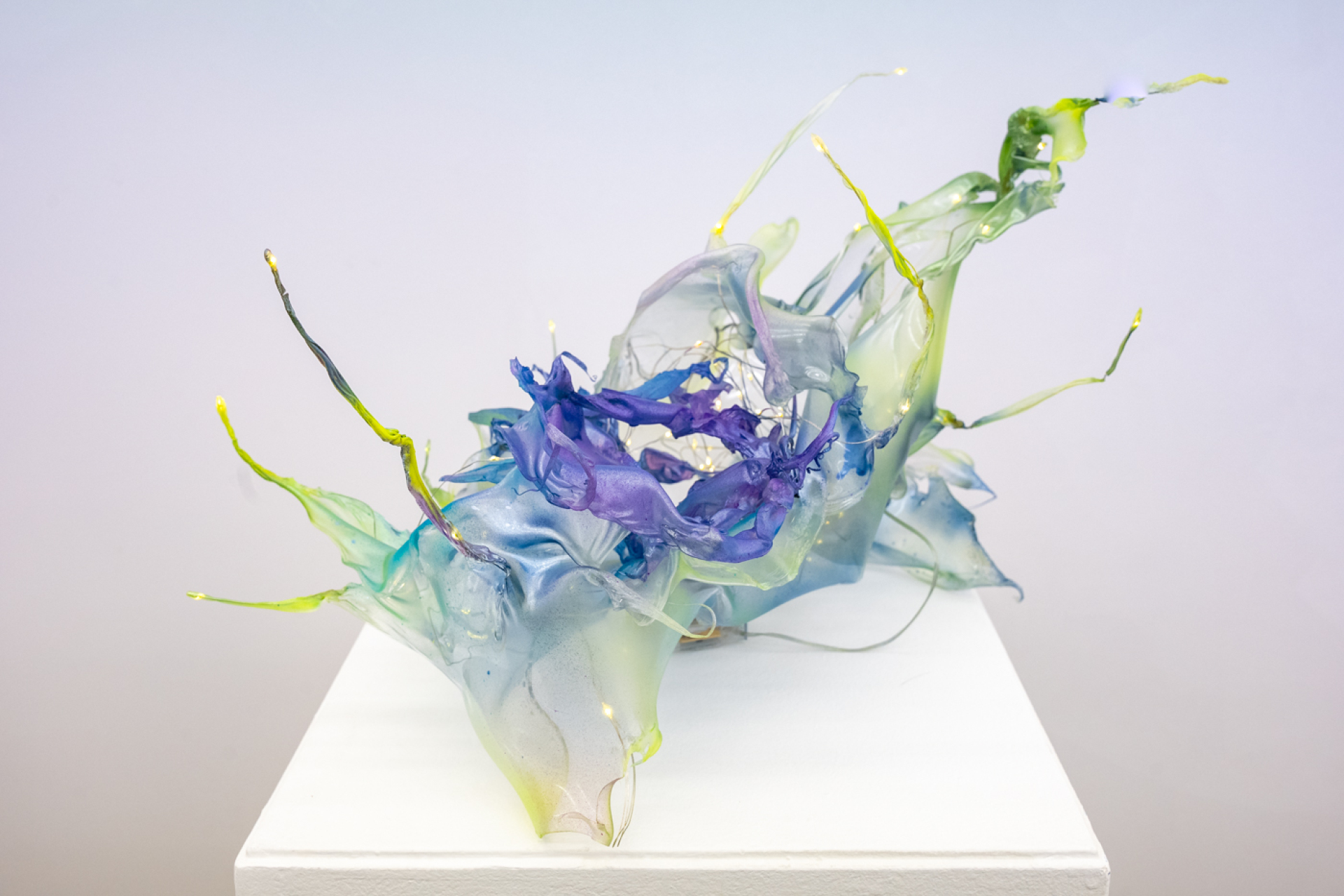 Donopoulos International Fine Arts, Έργο του Aljoscha