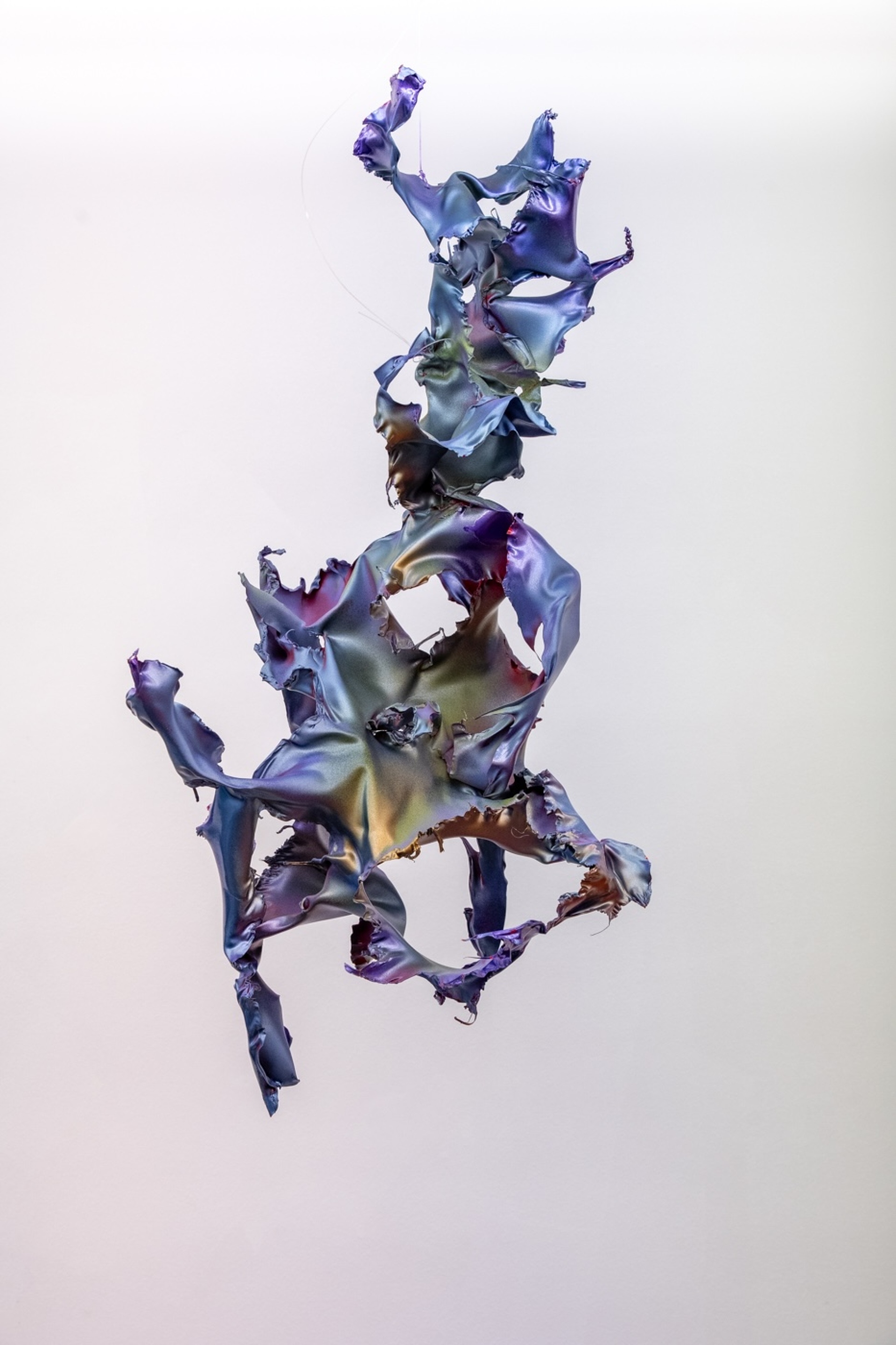 Donopoulos International Fine Arts, Έργο του Aljoscha