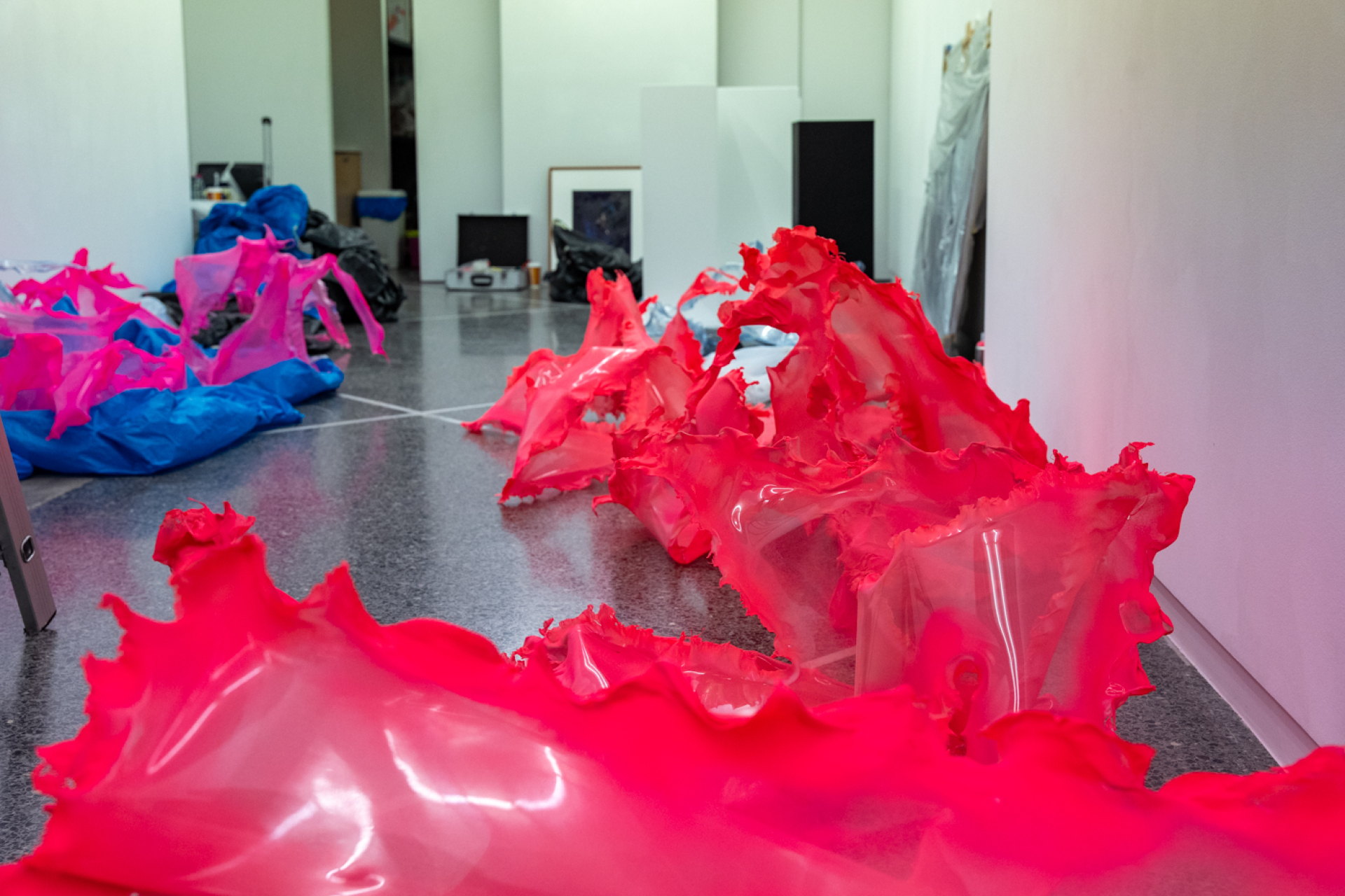 Donopoulos International Fine Arts, Έργο του Aljoscha