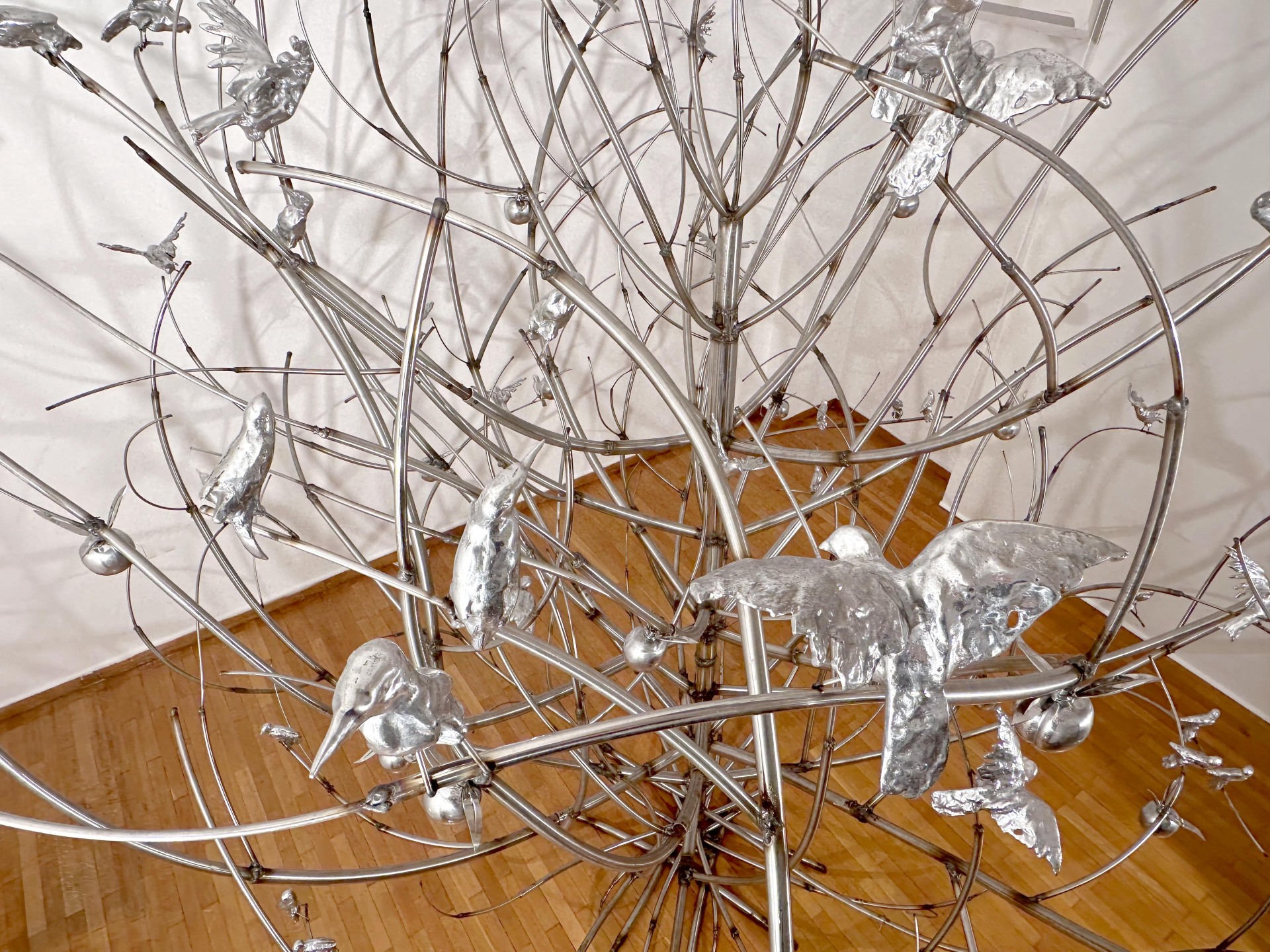 Έργο της Αφροδίτης Λίτη