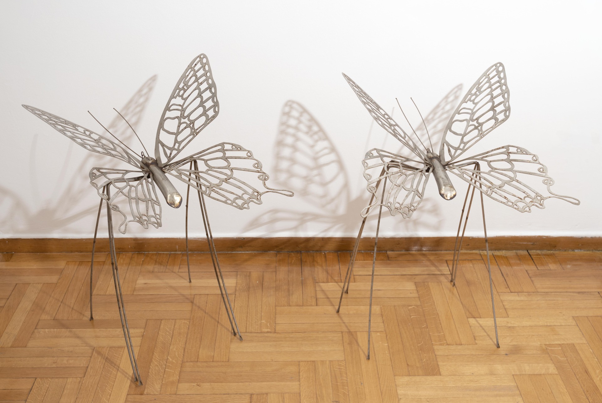 Έργο της Αφροδίτης Λίτη