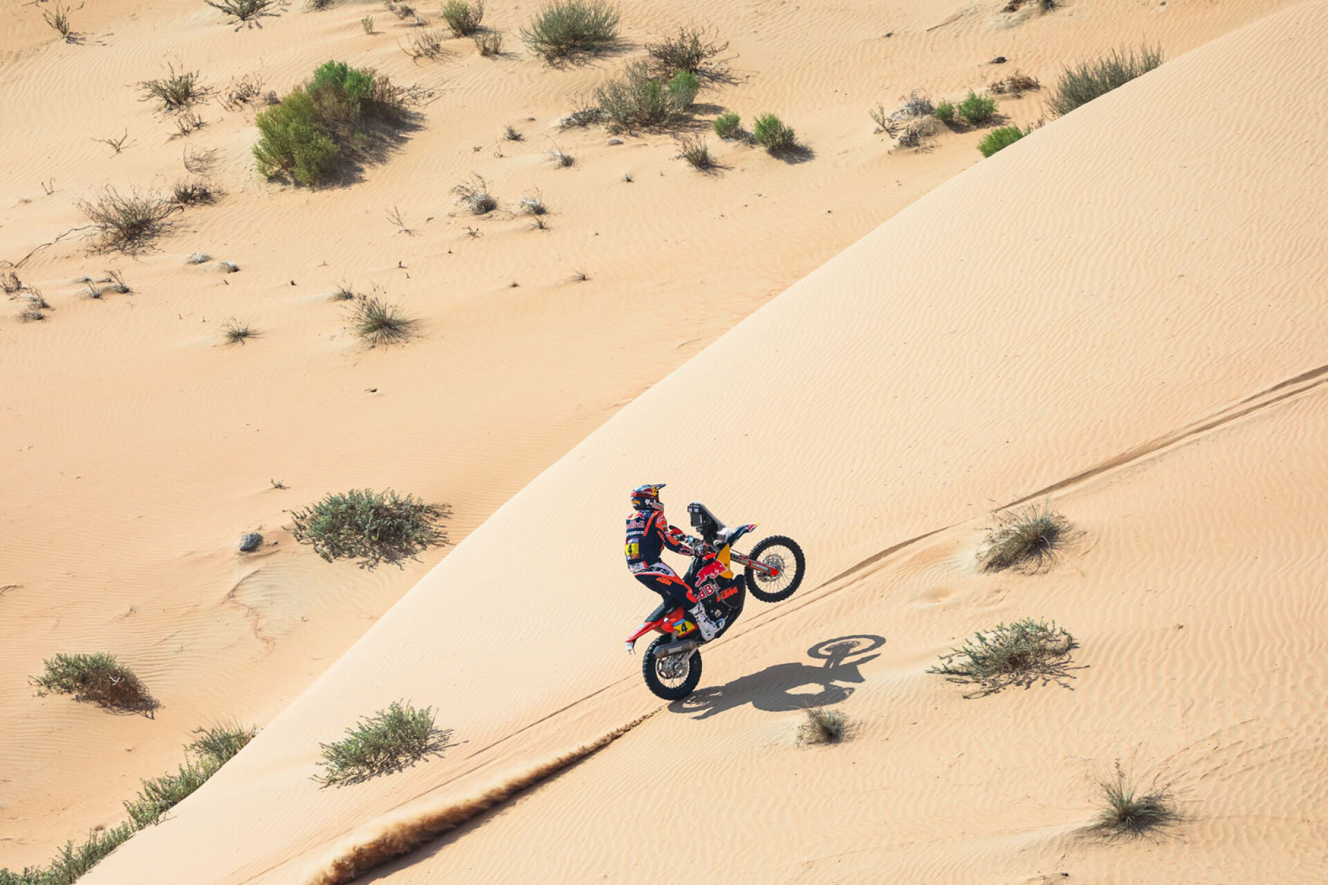 Ράλι Ντακάρ 2025