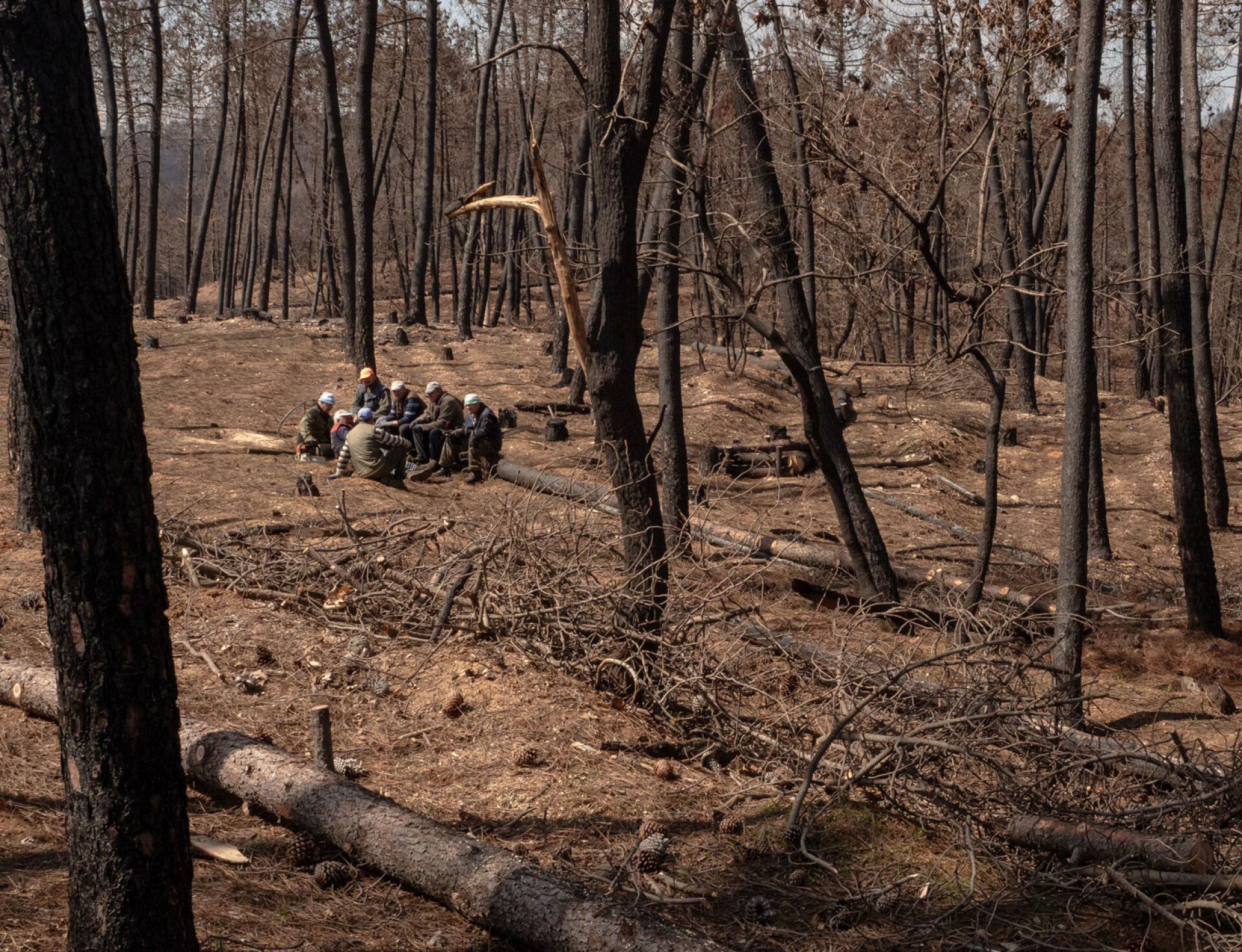 Ξυλοκόποι σε διάλειμμα για μεσημεριανό, στο καμένο δάσος της Δαδιάς