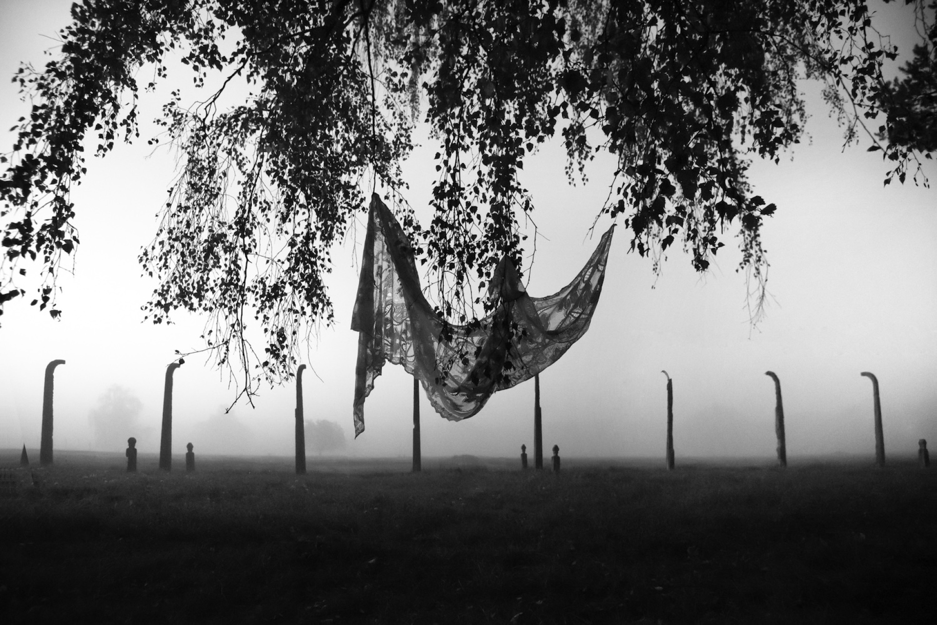 Στρατόπεδο εξόντωσης Μπίρκεναου. Credits: Renée Revah