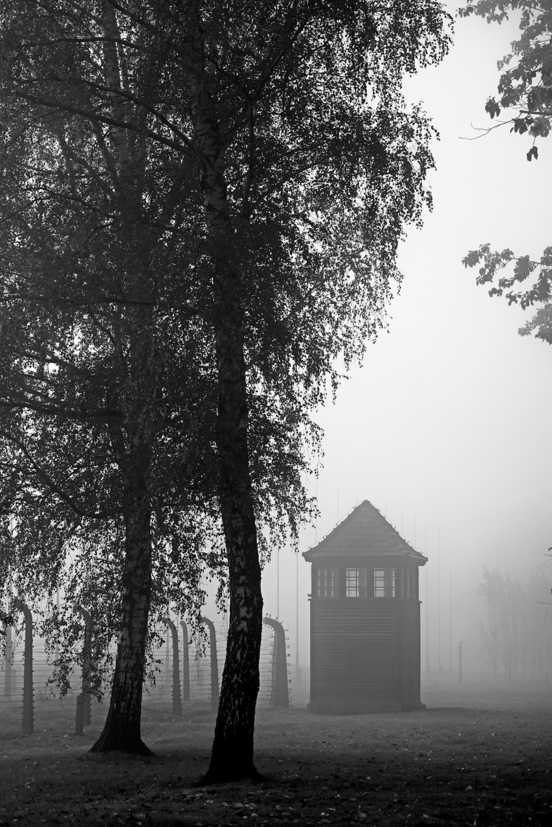 Μπίρκεναου: Παρατηρητήριο Credits: Renée Revah