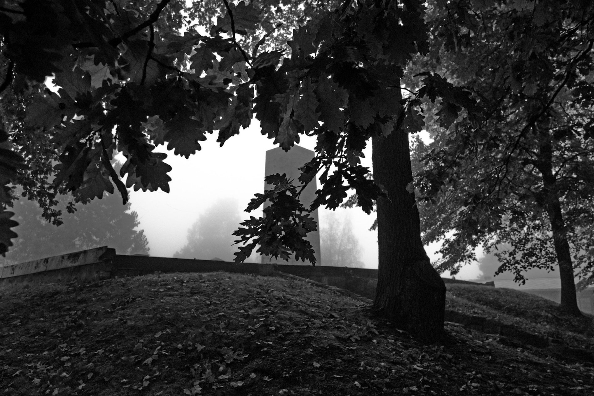 Στρατόπεδο Άουσβιτς I. Credits: Renée Revah