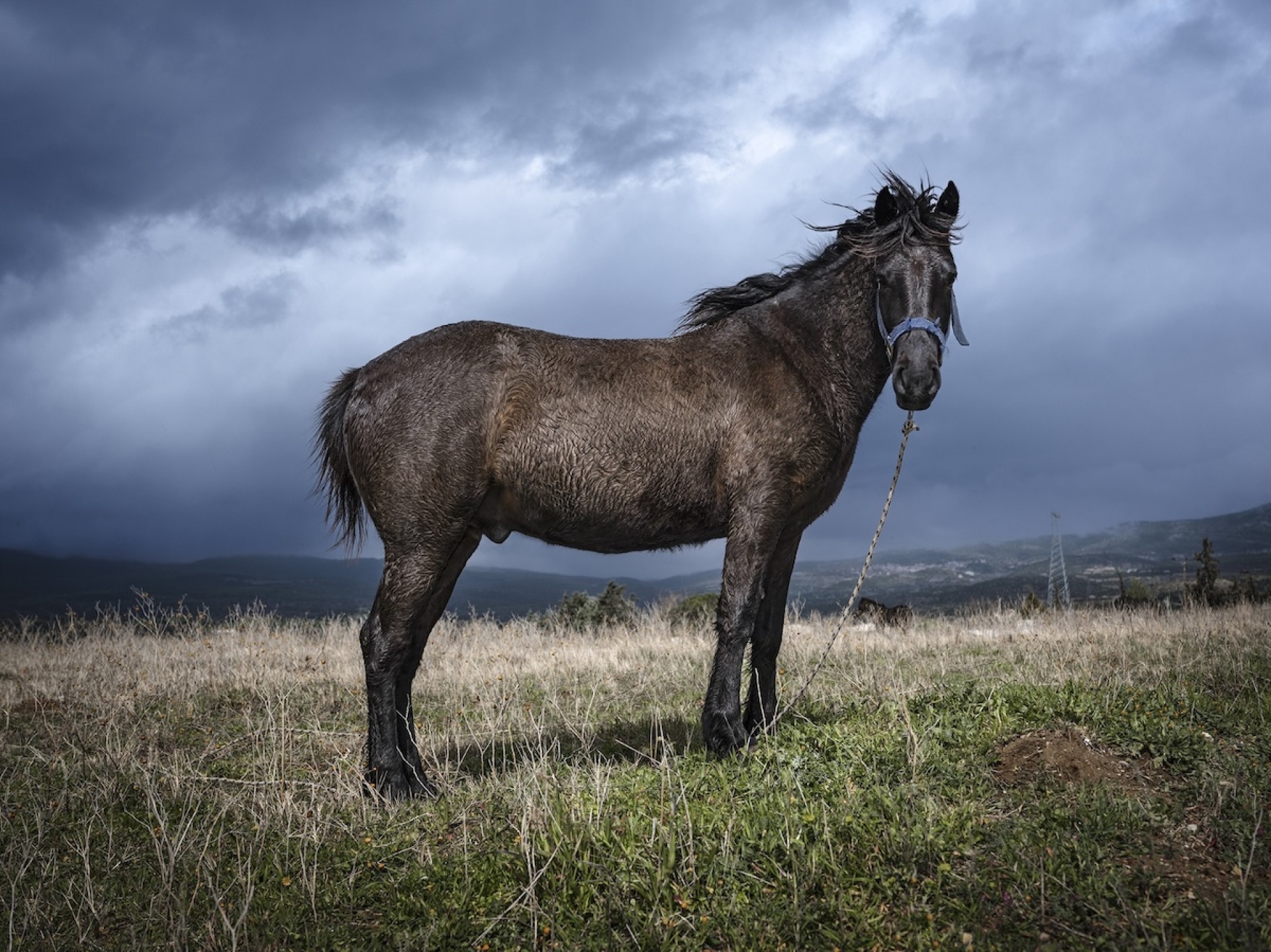 Φωτογραφία του Στράτου Καλαφάτη