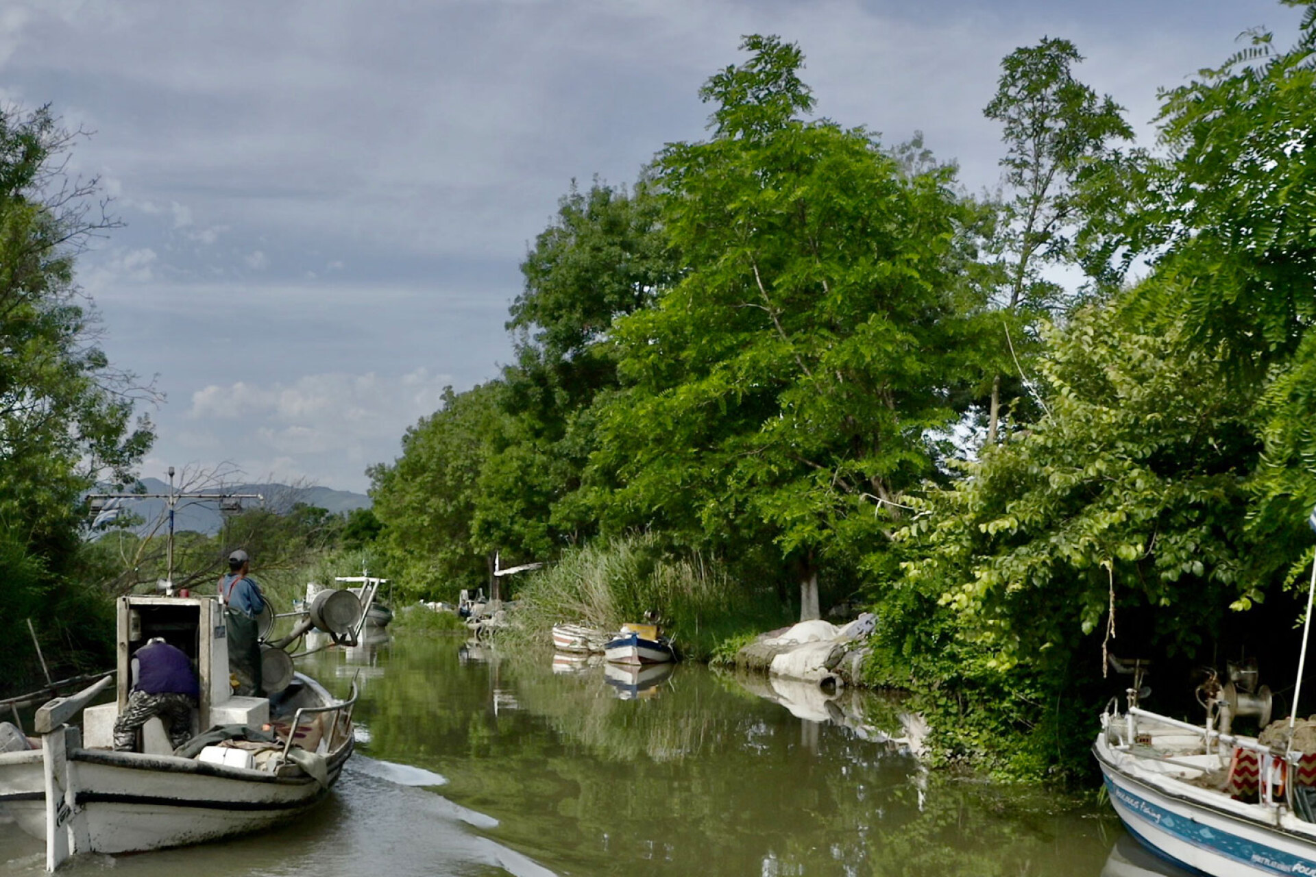 «Δέλτα» της Βίβιαν Παπαγεωργίου