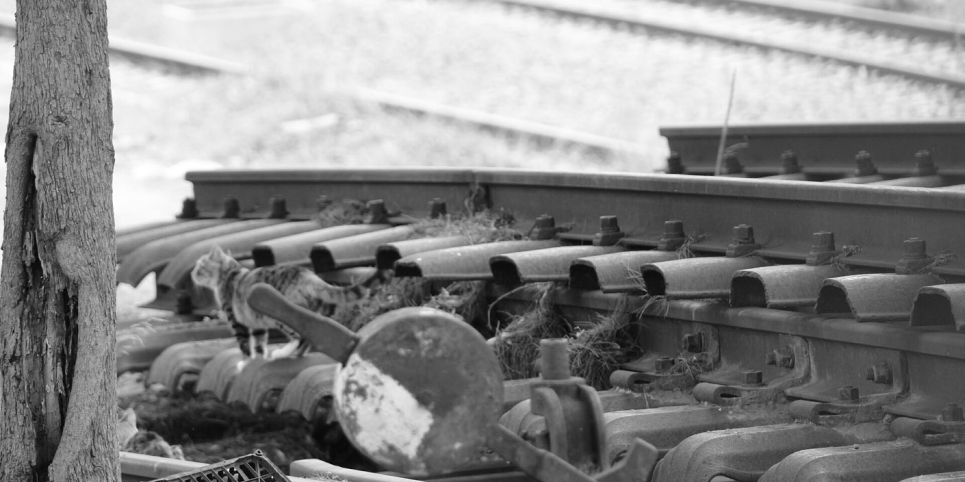 Η Γέφυρα του Μάγκα | Η Γέφυρα του Ρεμπέτη