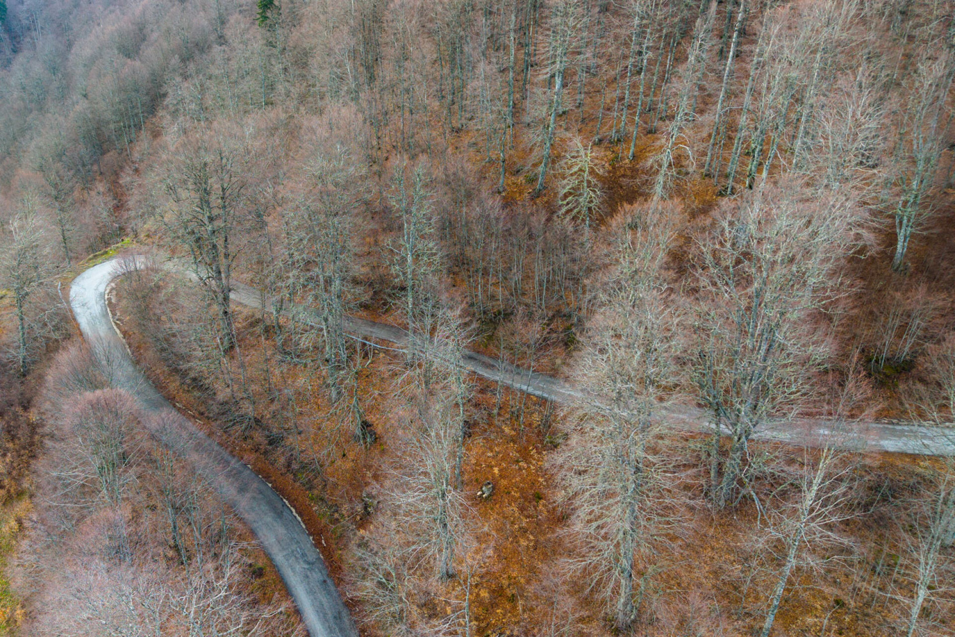 Από την Ήπειρο στη Θεσσαλία