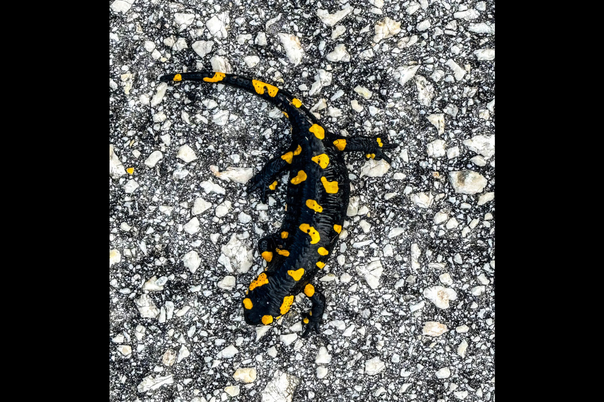 Από την Ήπειρο στη Θεσσαλία