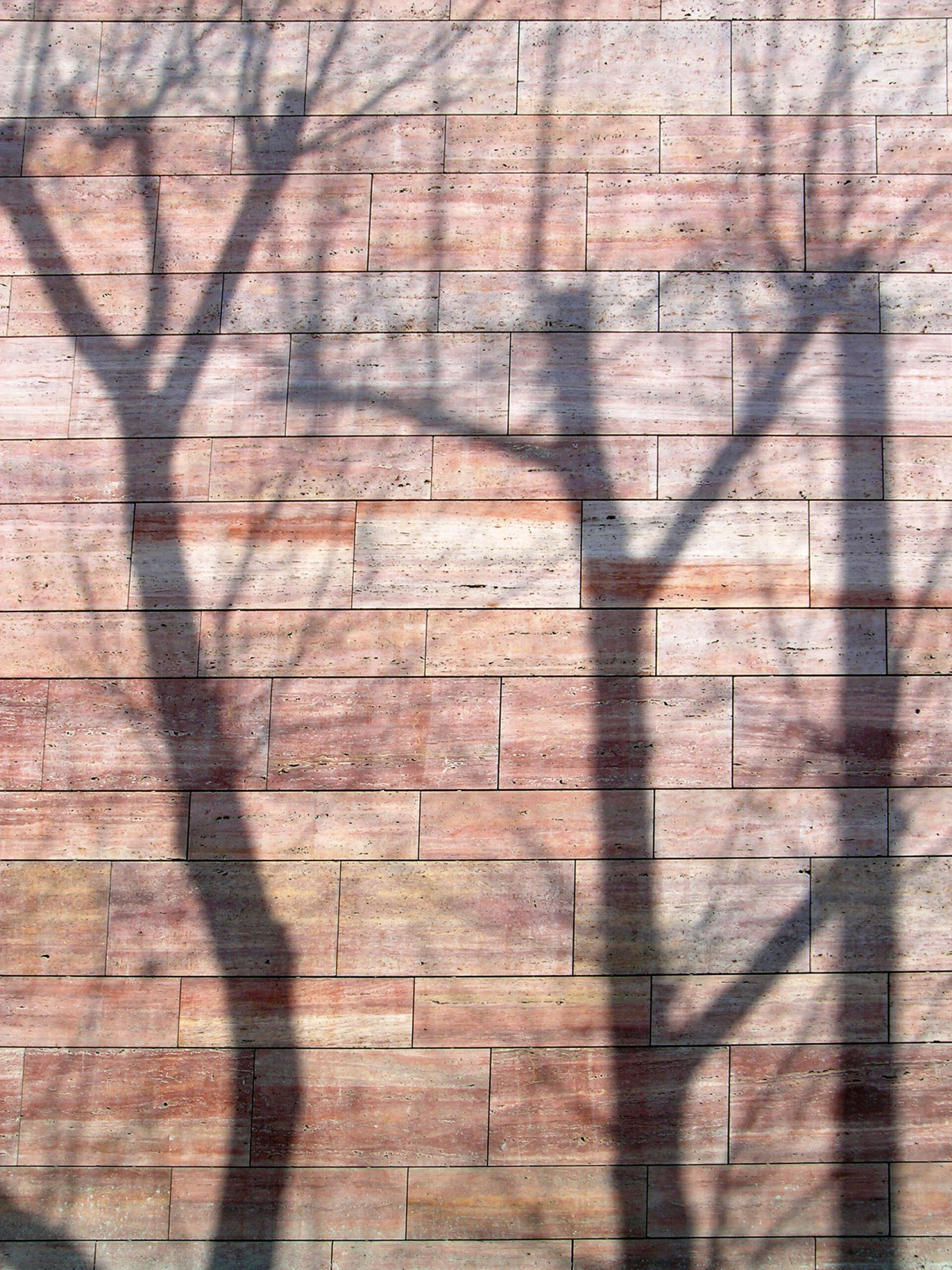 Μουσείο Μπενάκη, σύγχρονο πολιτιστικό κέντρο | Αρχιτεκτονική μελέτη: Μαρία Κοκκίνου, Ανδρέας Κούρκουλας