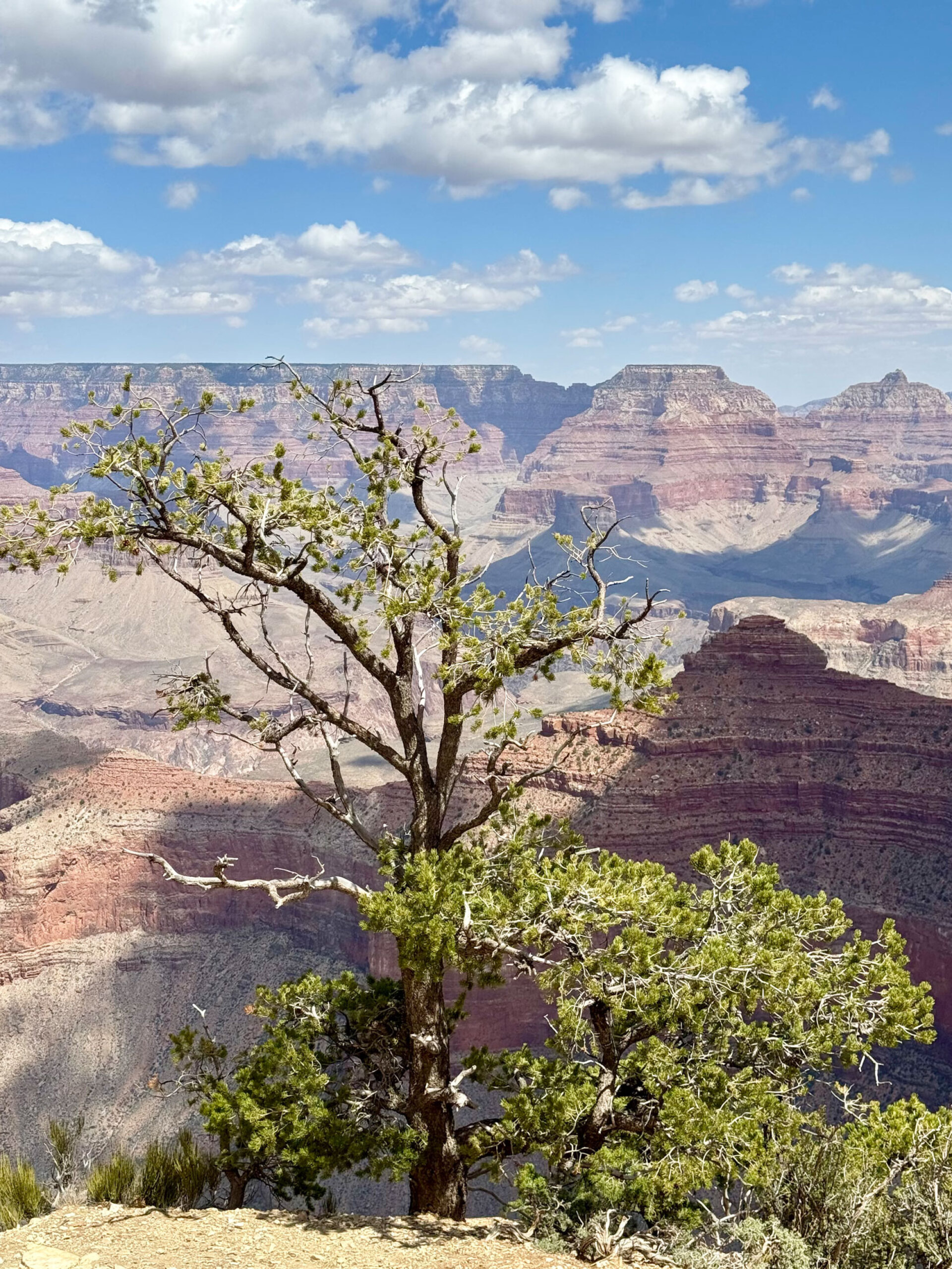 Γκραν Κάνιον