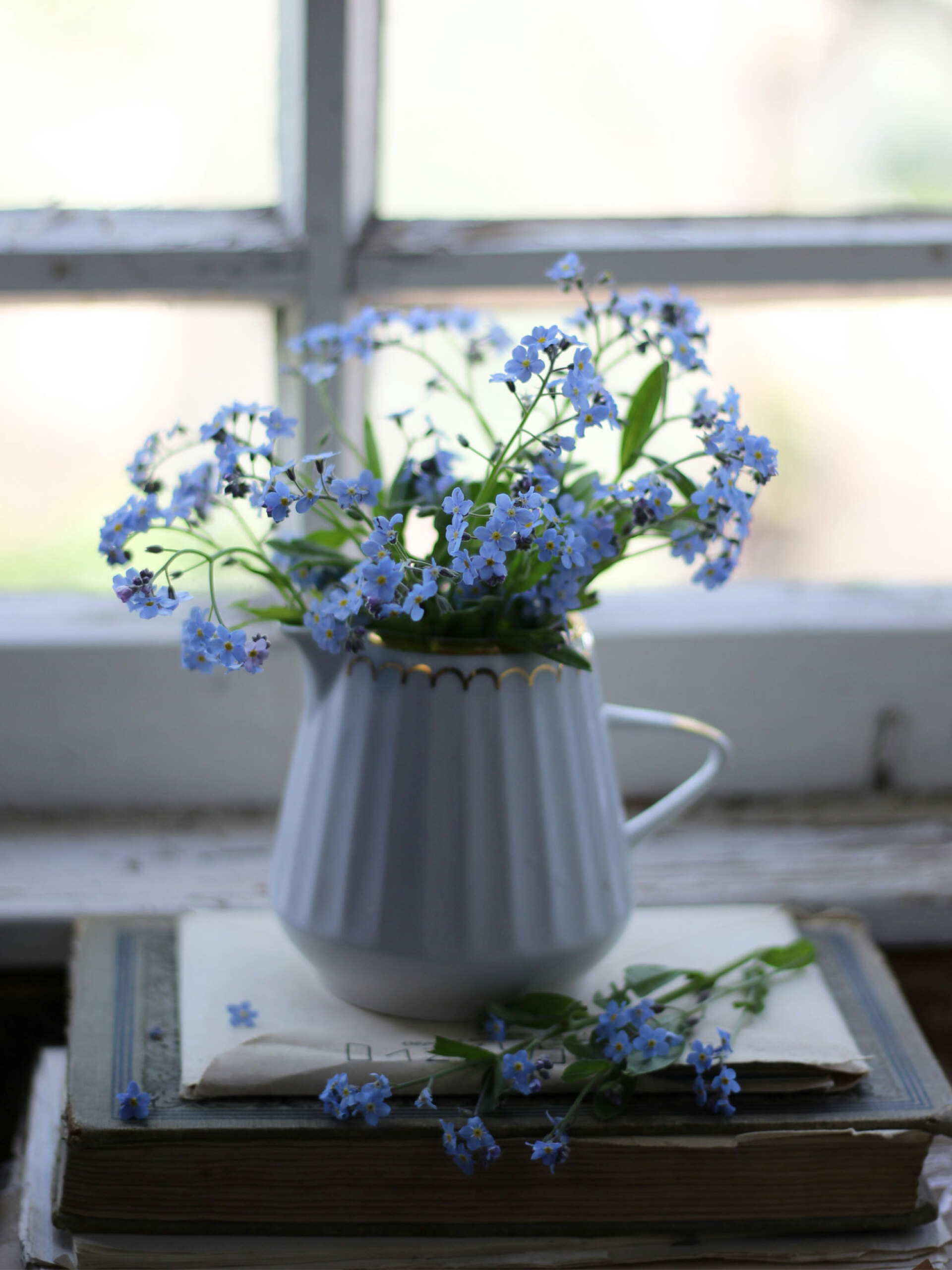 Η Αισθητική του Ψαρά - The Fisherman Aesthetic