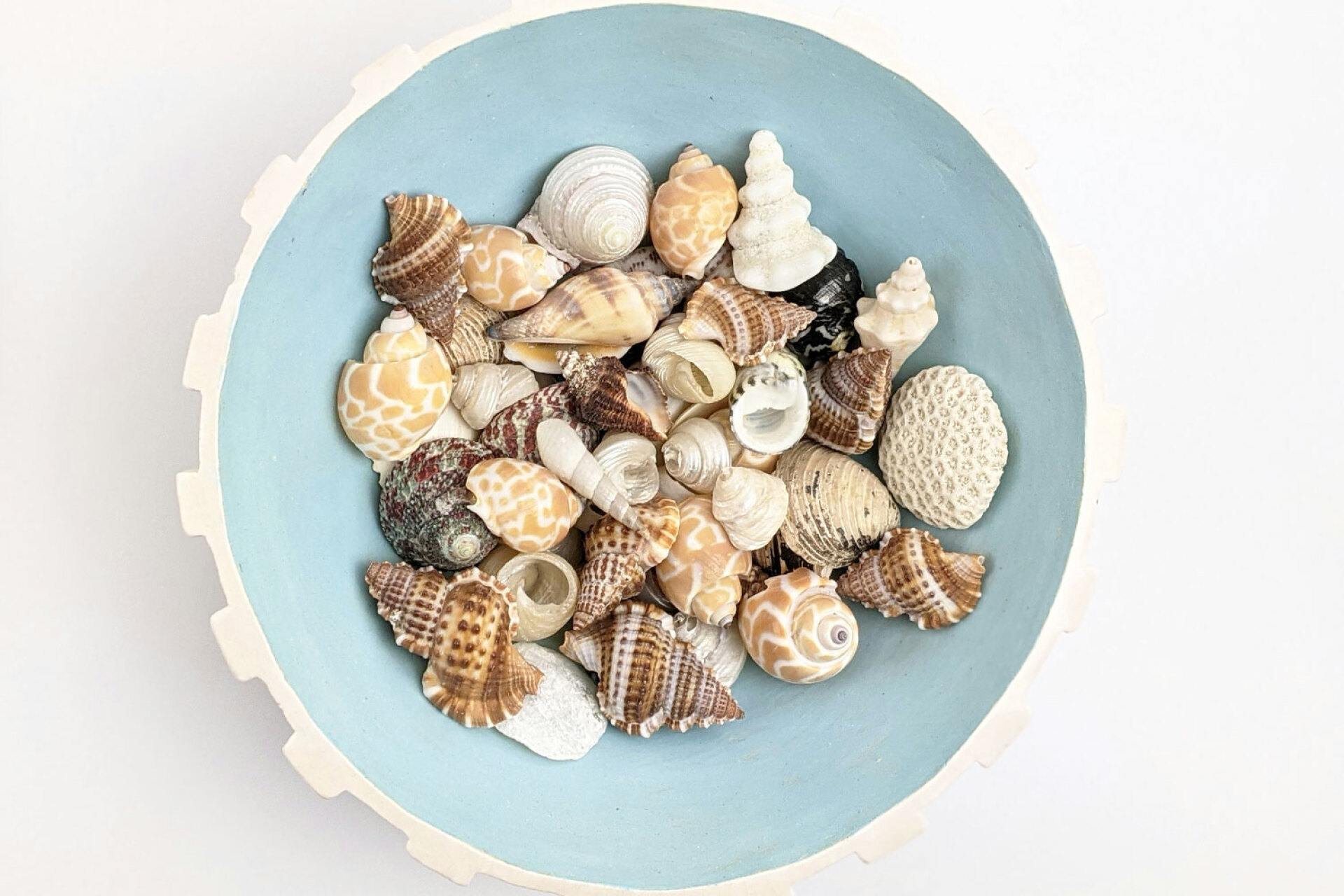 Η Αισθητική του Ψαρά - The Fisherman Aesthetic