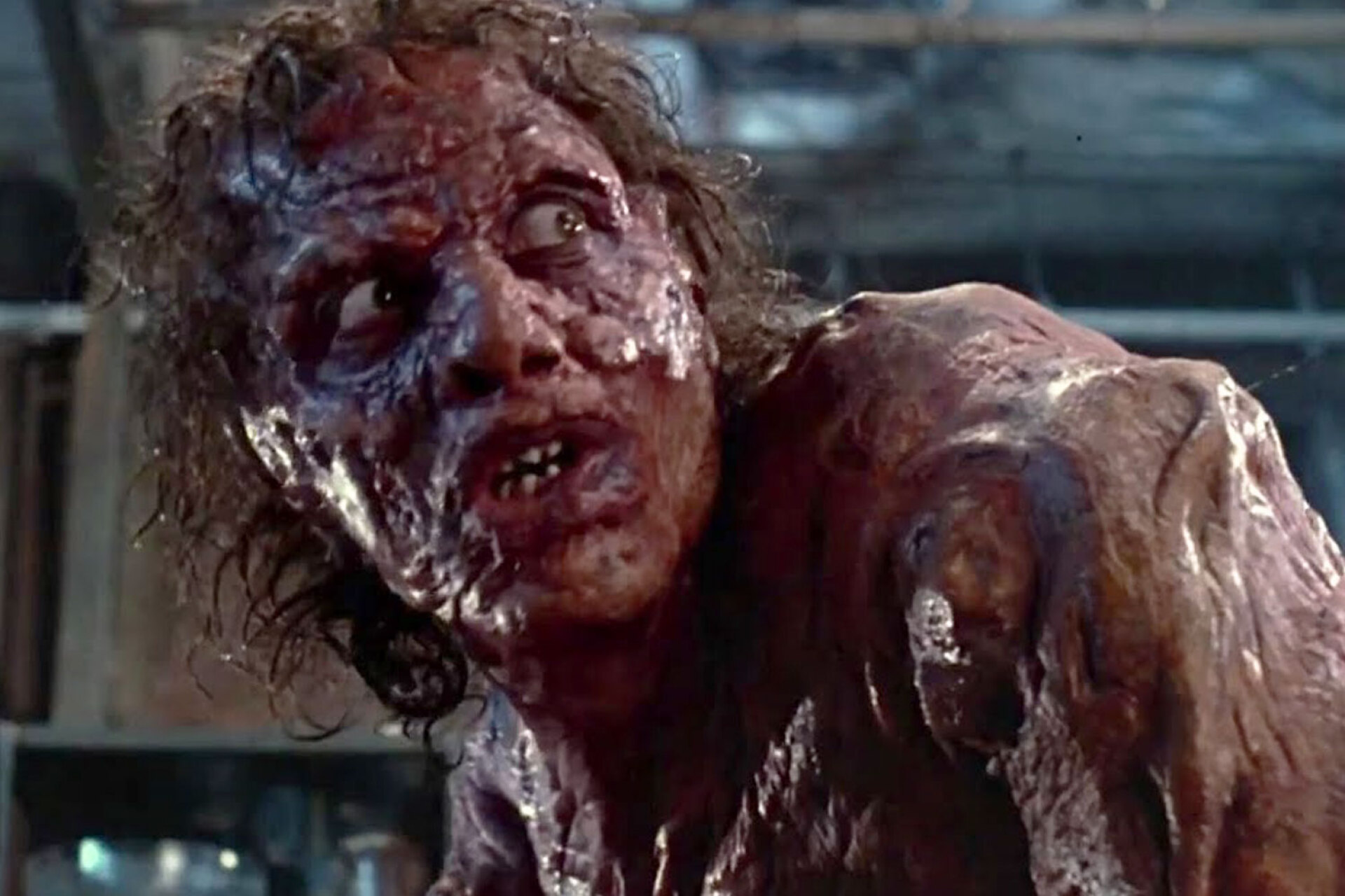 Η μύγα, 1986 | Ντέιβιντ Κρόνενμπεργκ