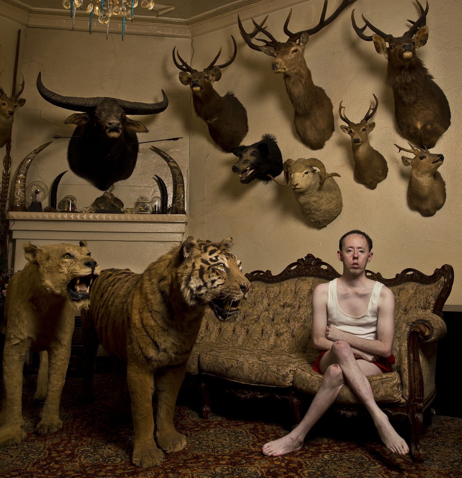 Back to Back Theatre, «Ο κυνηγός πέφτει θύμα της σκιάς του»