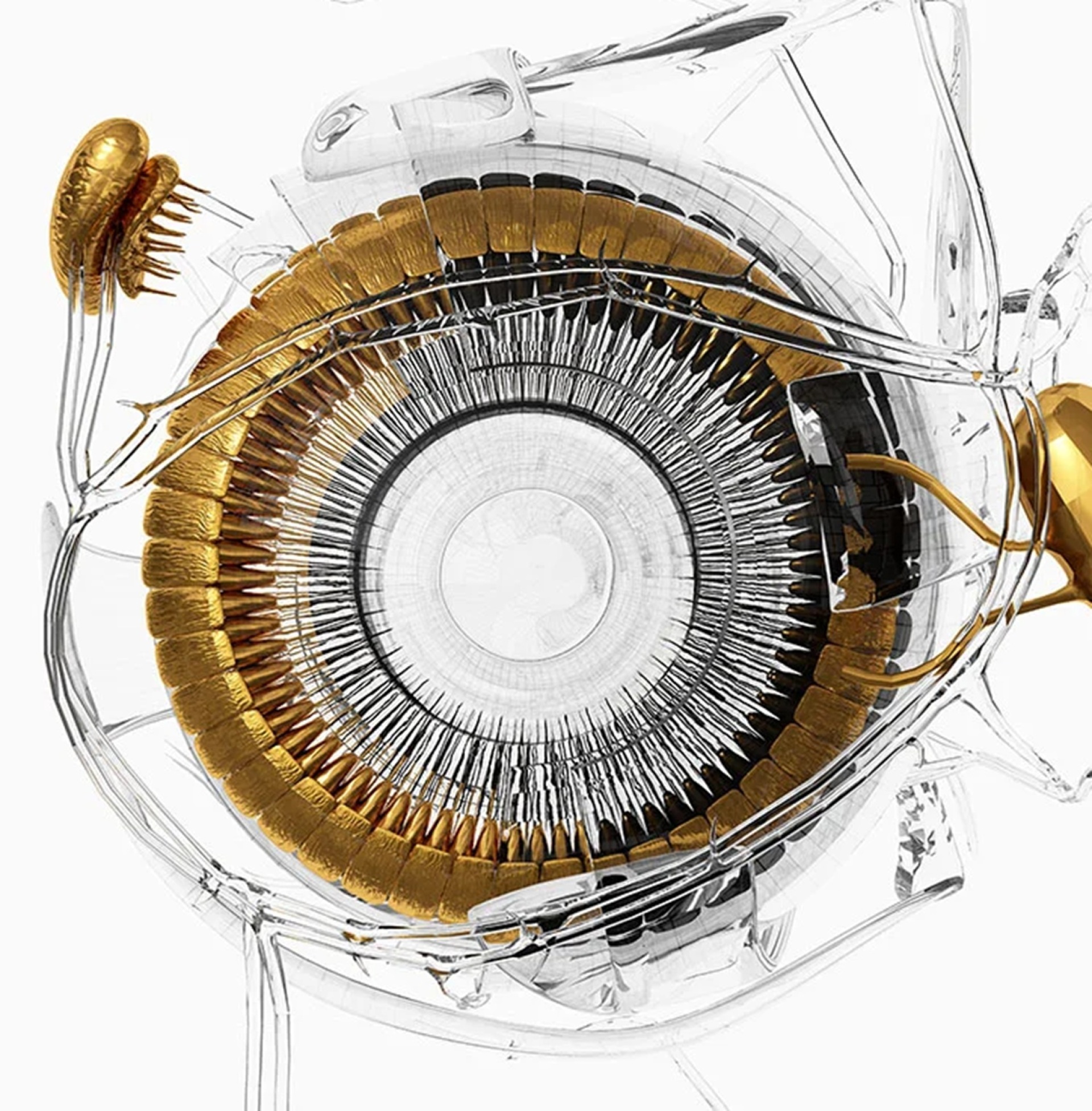 Κώστας Πηγαδάς, «Εye» (λεπτομέρεια) από την έκθεσή του στο Νοσοκομείο Ερρίκος Ντυνάν