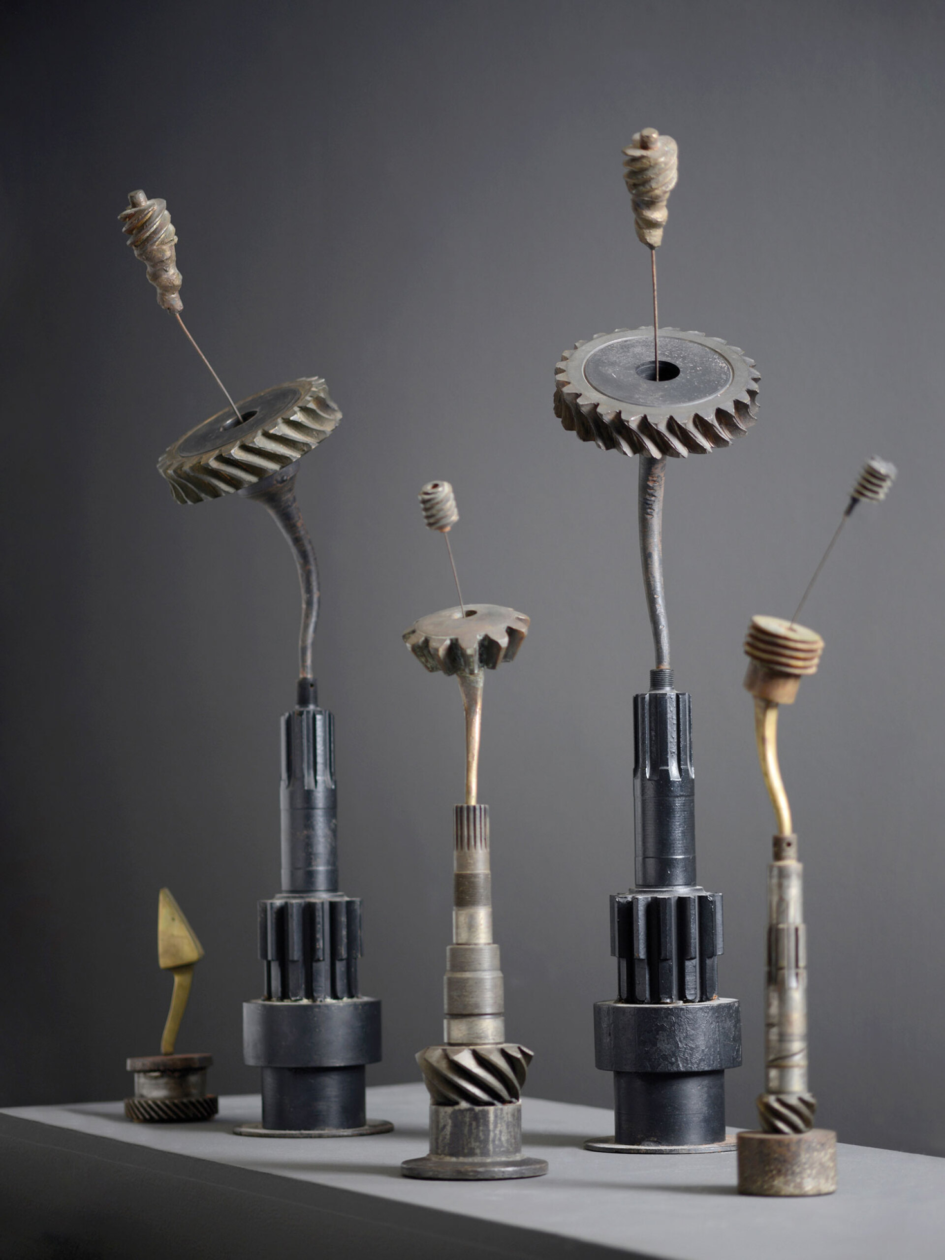 Takis | Μαργαρίτες