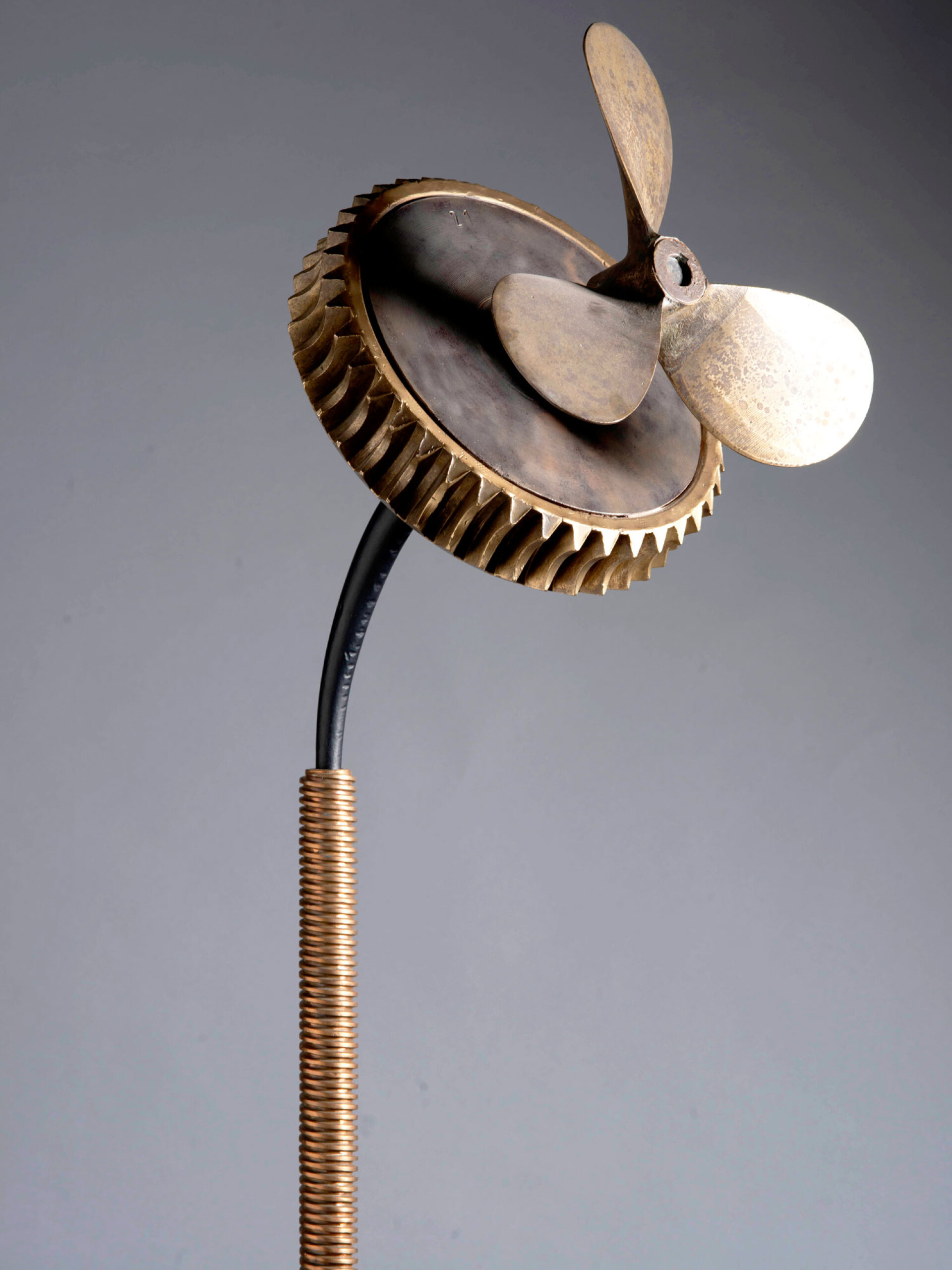 Takis | Μαργαρίτες