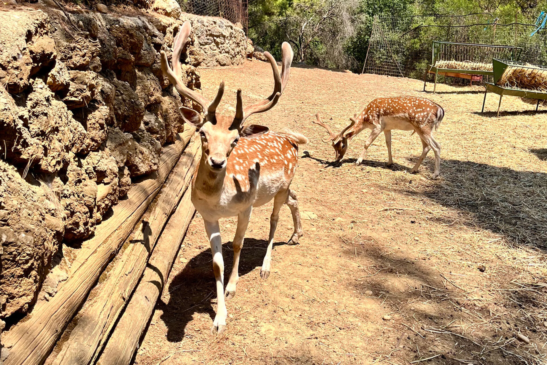Βοτανικός Κήπος Zέλιος ΓΗ