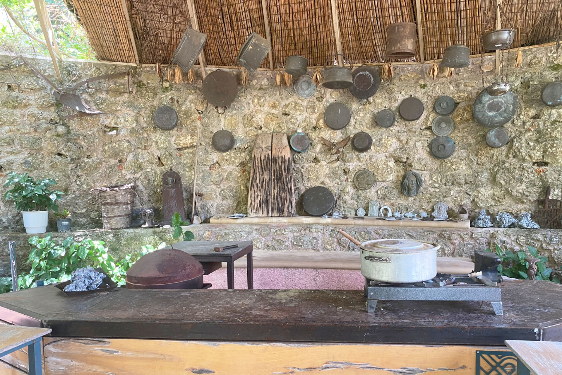 Βοτανικός Κήπος Zέλιος ΓΗ