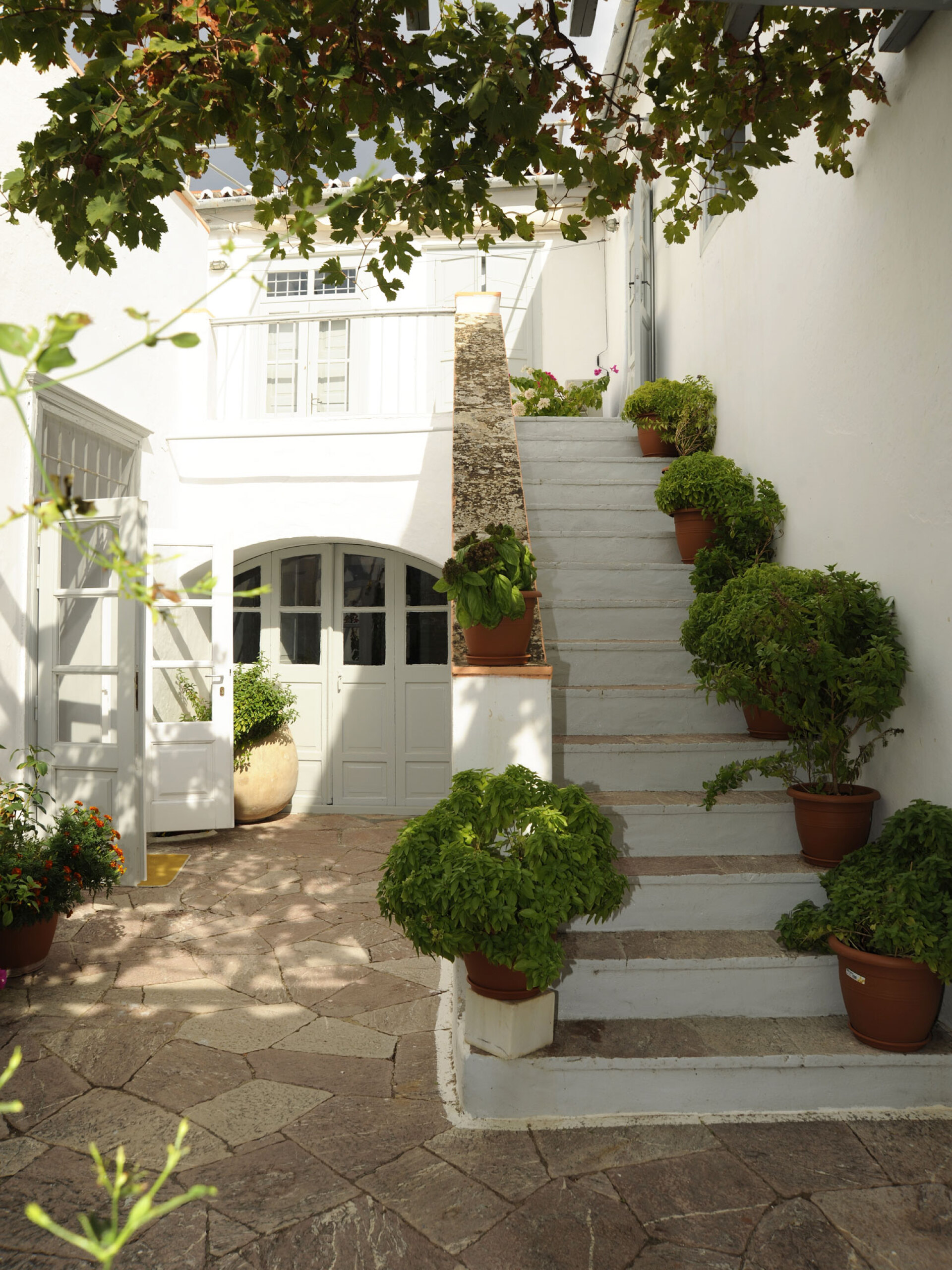 Στην Οικία και Ατελιέ Παναγίωτη Τέτση