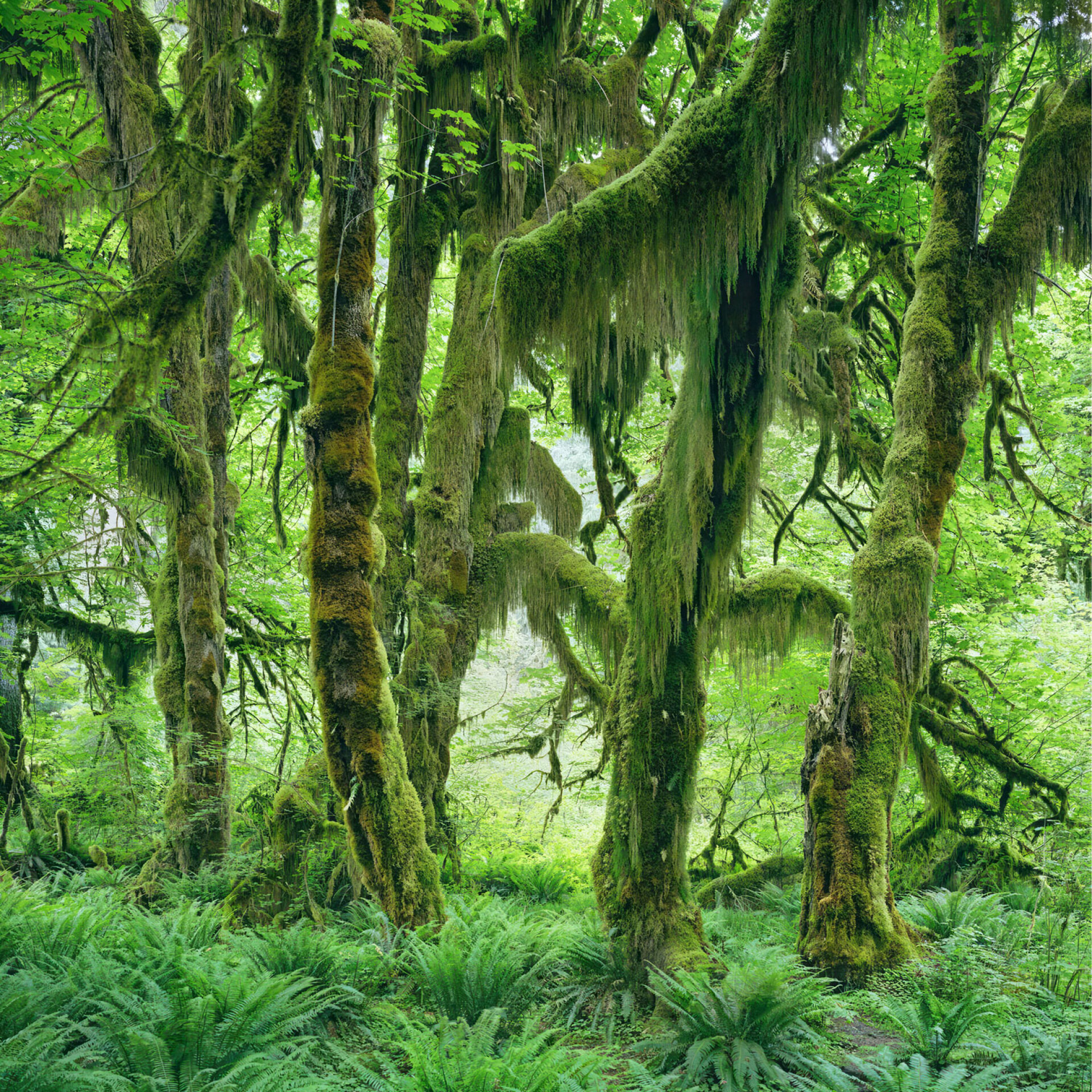 Μιτς Επστάιν