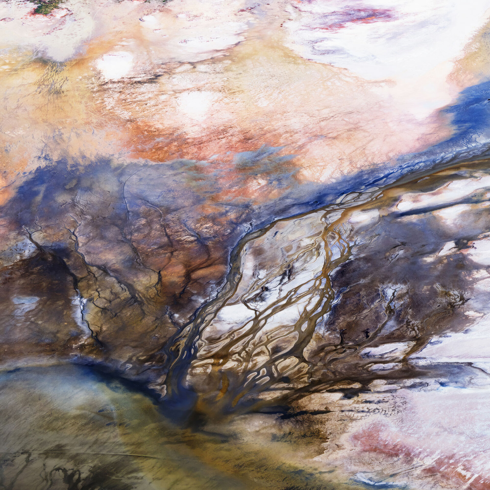 Ντέιβιντ Μέιζελ