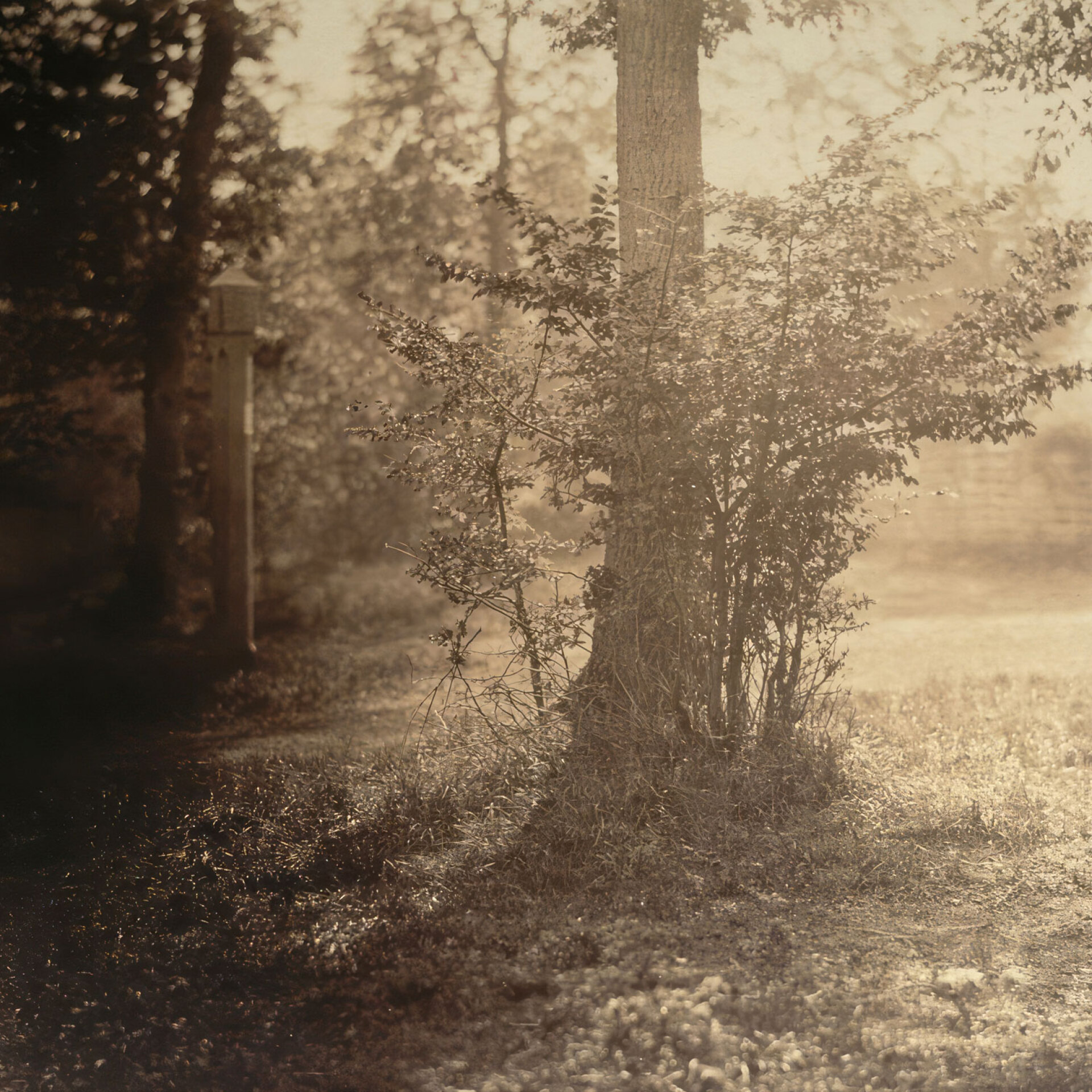 Γκιστάβ Λε Γκρέι