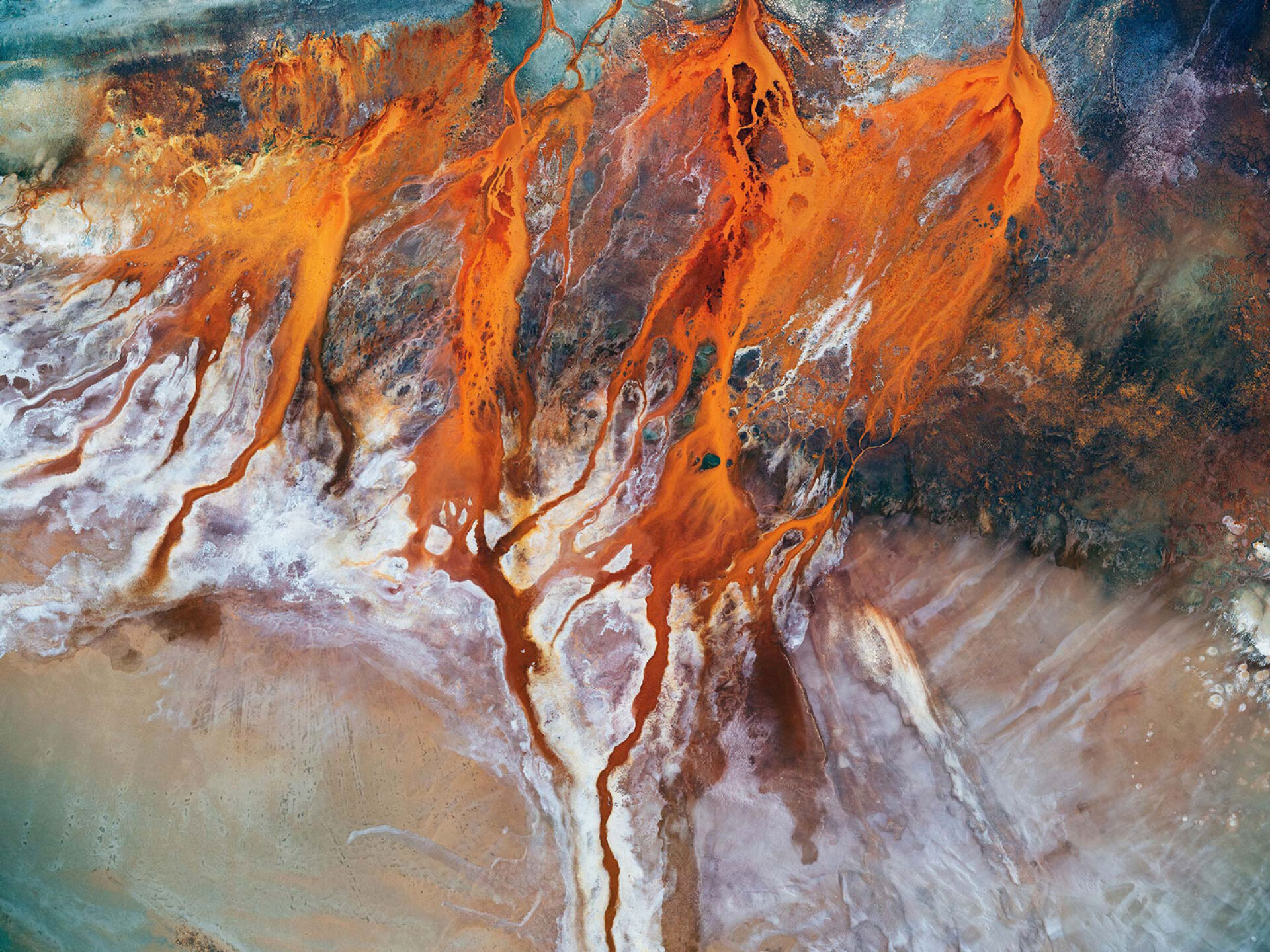 Ντέιβιντ Μέιζελ