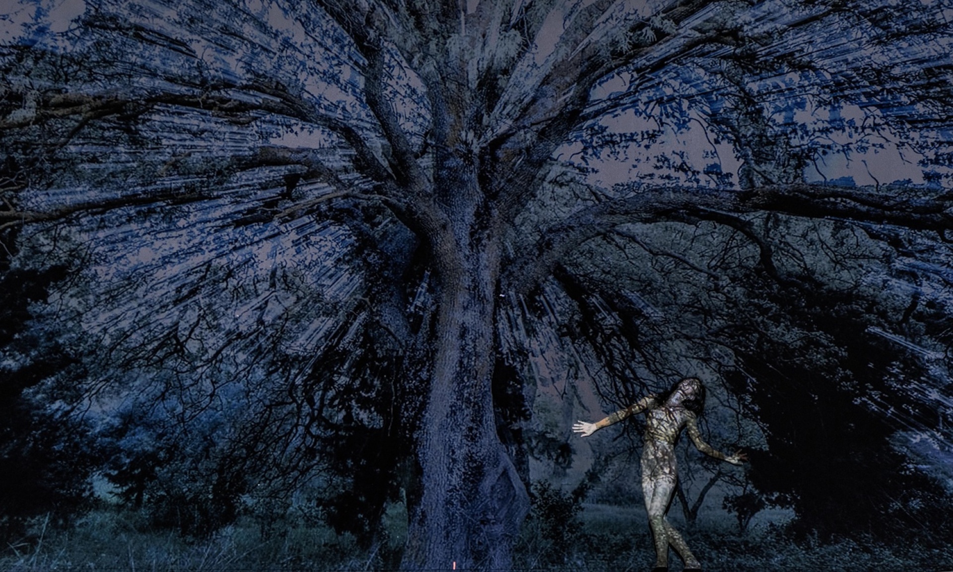 O γρίφος του δάσους της Νάνσυς Σταματοπούλου και του Τάσου Βρεττού στο Διεθνές Φεστιβάλ Χορού Καλαμάτας