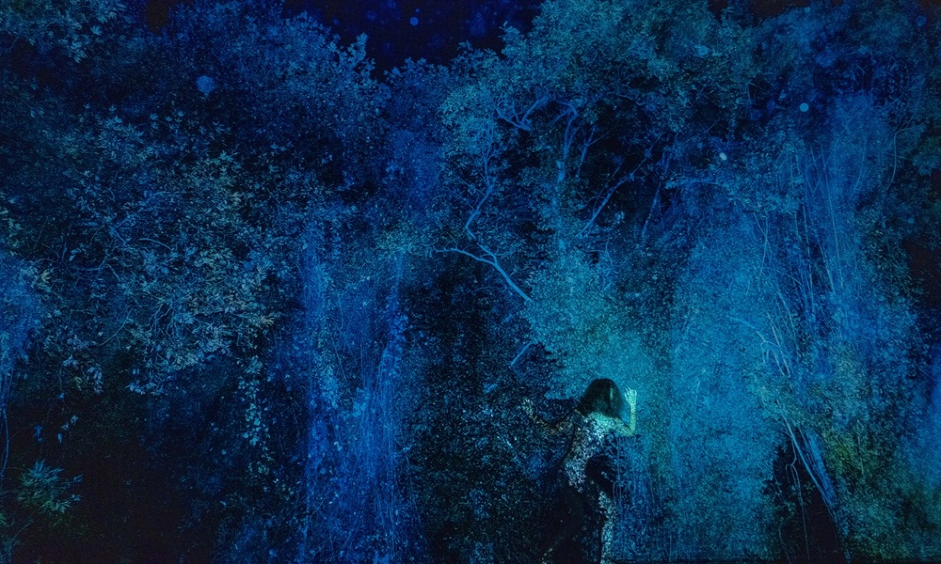 Ο γρίφος του δάσους της  Νάνσυς Σταματοπούλου και του Τάσου Βρεττού στο 31ο Διεθνές Φεστιβάλ Χορού Καλάμάτας