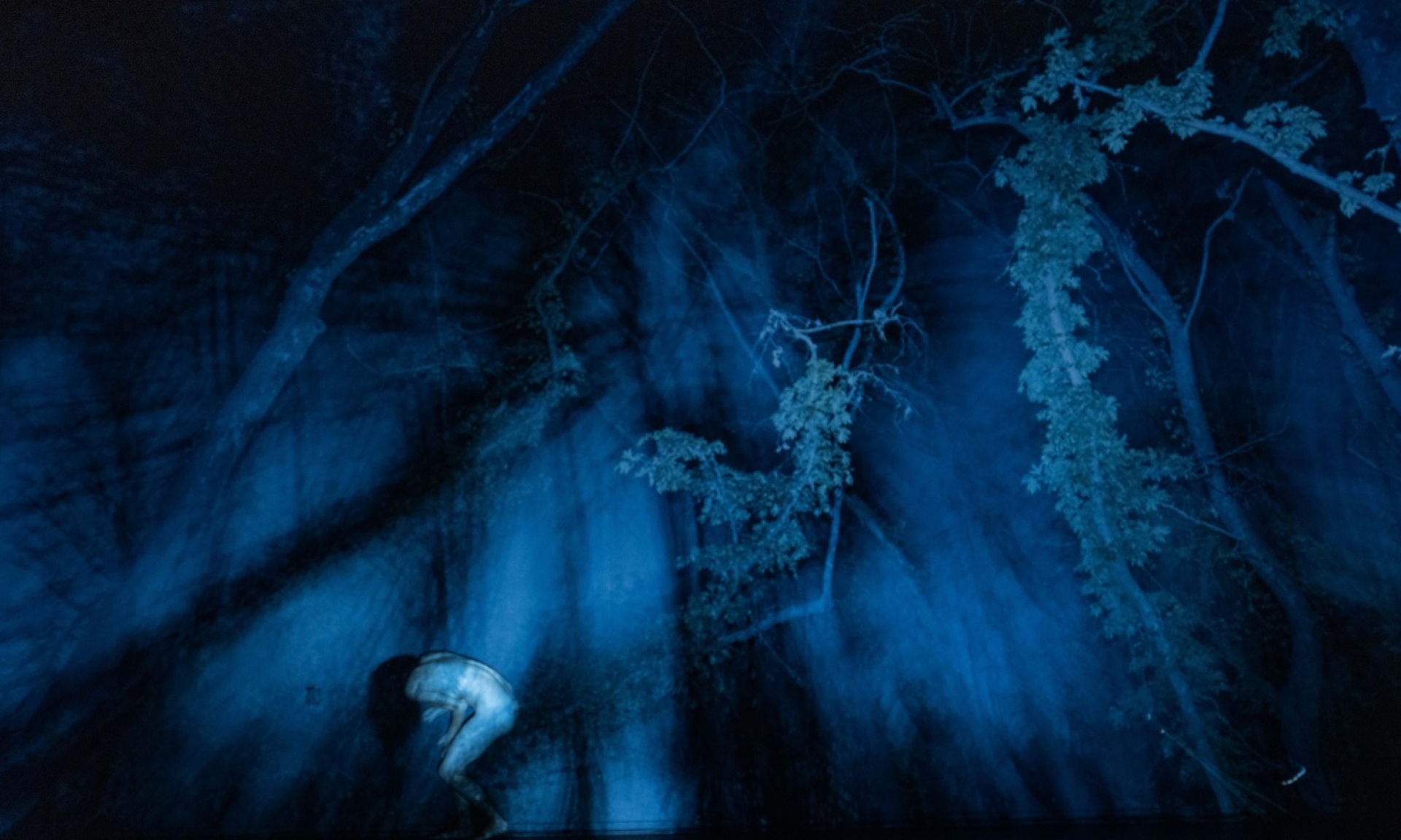 Ο γρίφος του δάσους της  Νάνσυς Σταματοπούλου και του Τάσου Βρεττού στο 31ο Διεθνές Φεστιβάλ Χορού Καλάμάτας