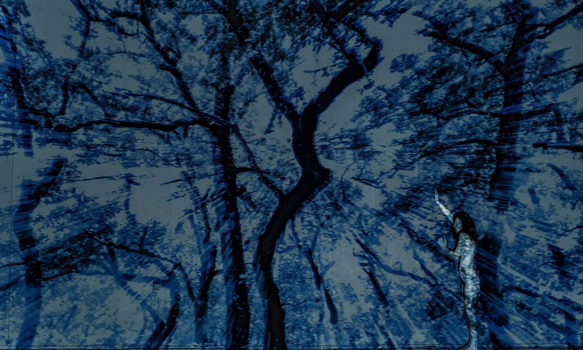 Ο γρίφος του δάσους της  Νάνσυς Σταματοπούλου και του Τάσου Βρεττού στο 31ο Διεθνές Φεστιβάλ Χορού Καλάμάτας