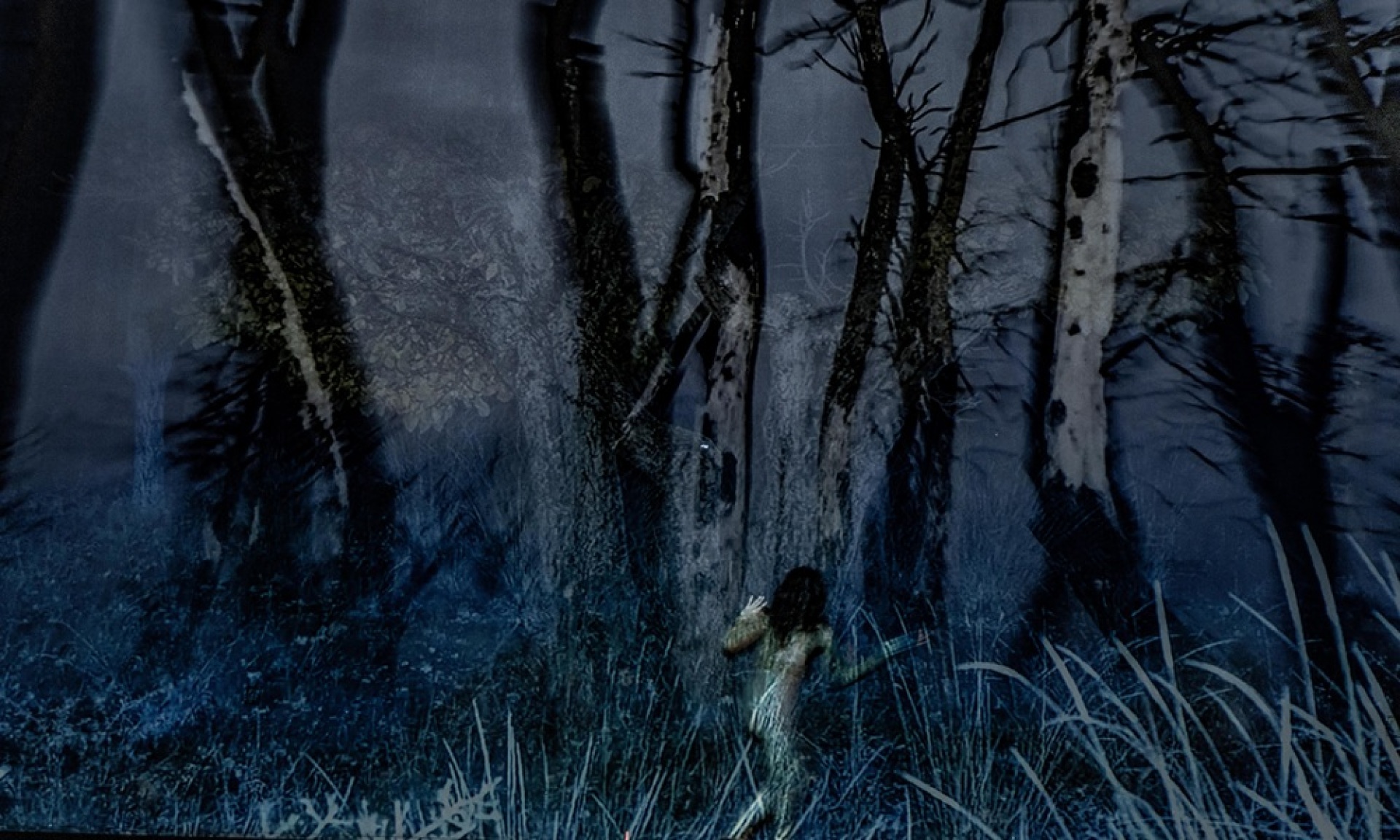 Ο γρίφος του δάσους της  Νάνσυς Σταματοπούλου και του Τάσου Βρεττού στο 31ο Διεθνές Φεστιβάλ Χορού Καλάμάτας