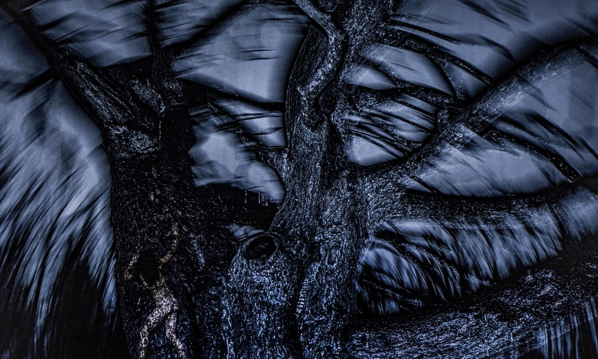 Ο γρίφος του δάσους της  Νάνσυς Σταματοπούλου και του Τάσου Βρεττού στο 31ο Διεθνές Φεστιβάλ Χορού Καλάμάτας