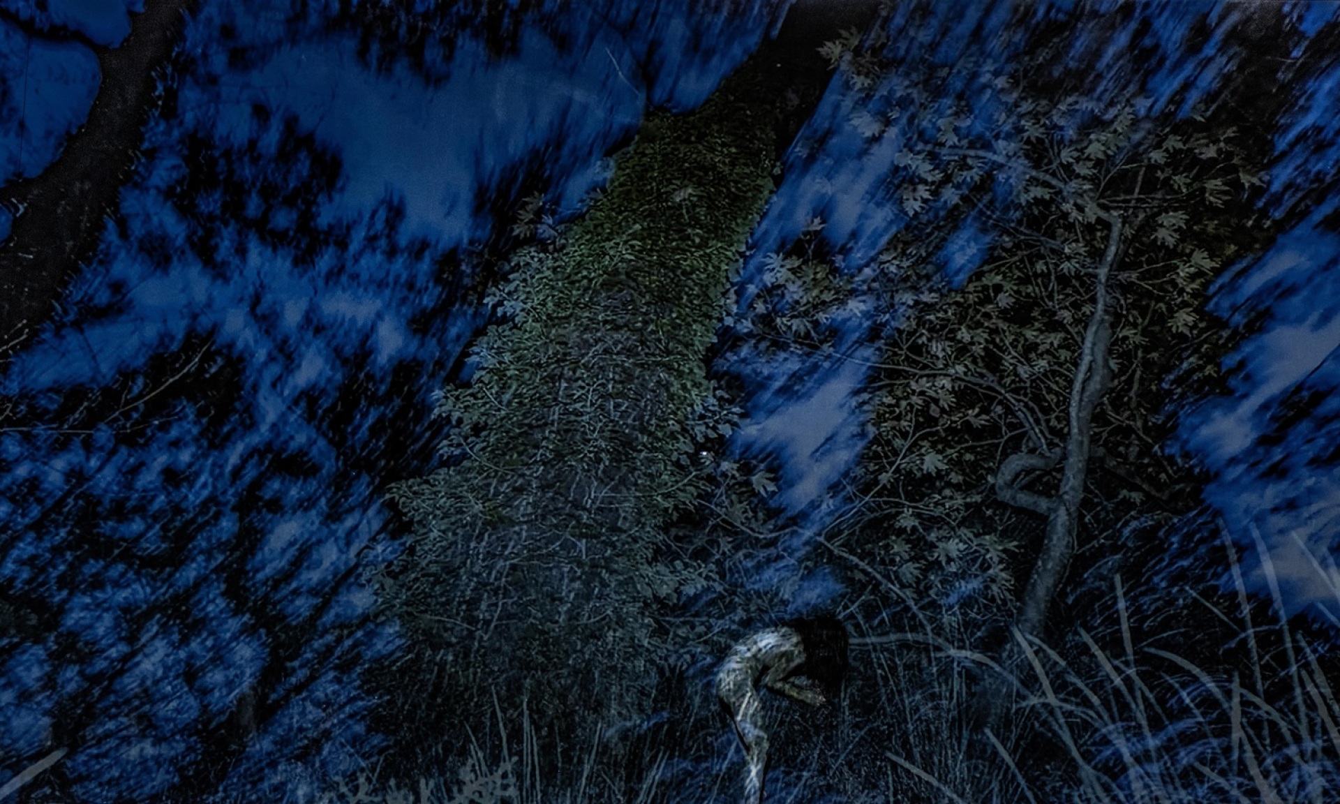 Ο γρίφος του δάσους της  Νάνσυς Σταματοπούλου και του Τάσου Βρεττού στο 31ο Διεθνές Φεστιβάλ Χορού Καλάμάτας