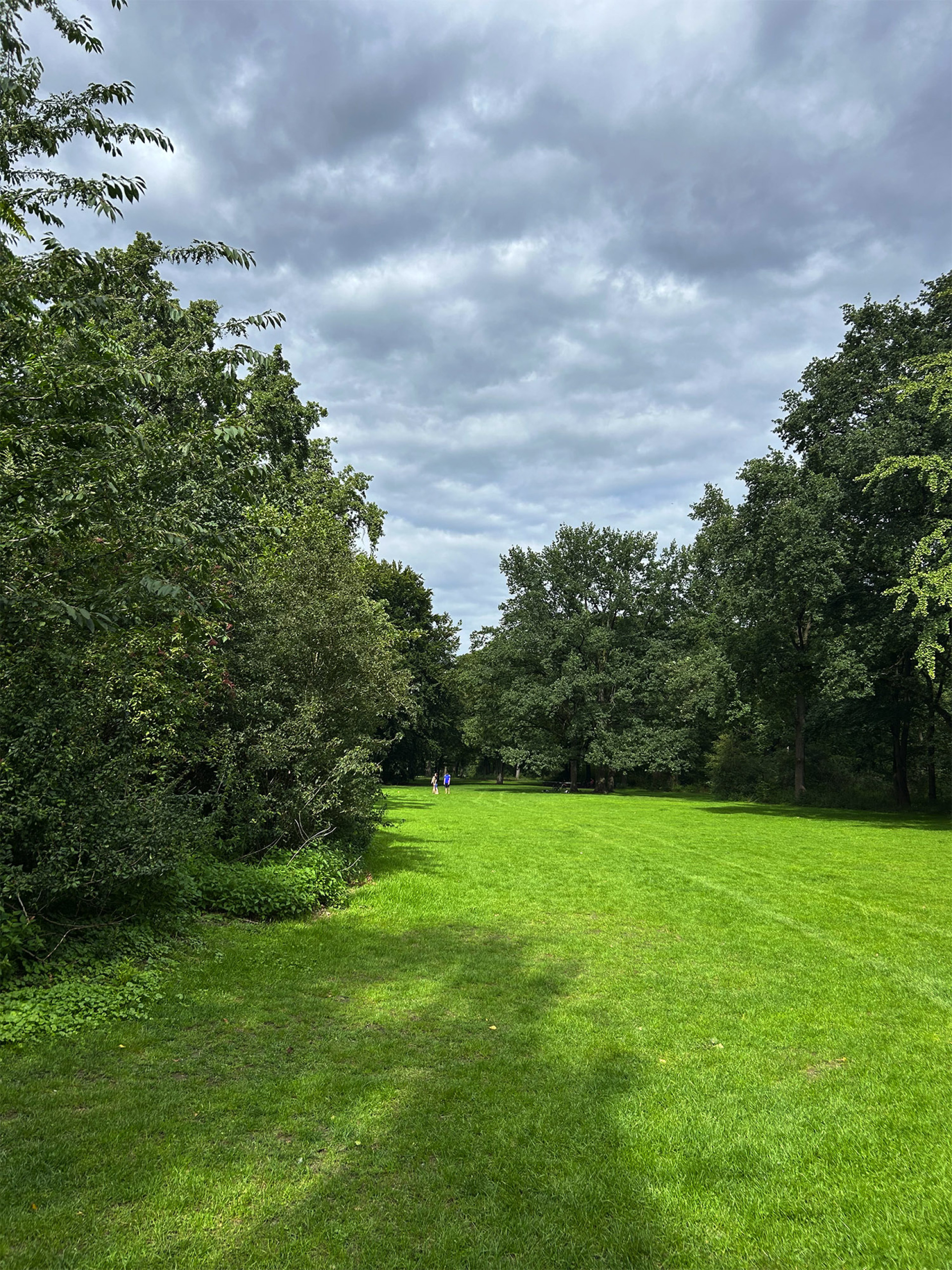 Το Tiergarten, η πράσινη καρδιά του Βερολίνου, με μεγάλα ξέφωτα για βόλτες, τρέξιμο και στιγμές χαλάρωσης