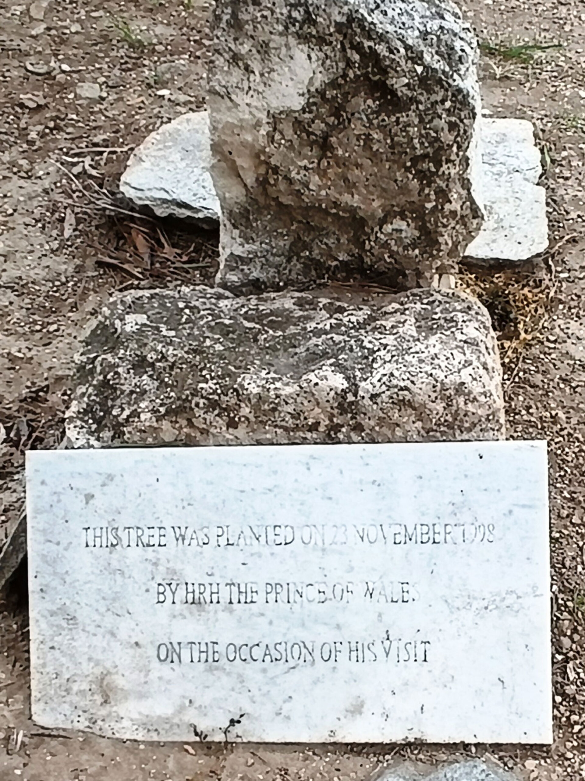 Mπροστά στην ελιά που φύτεψε ο Πρίγκηπας Κάρολος
