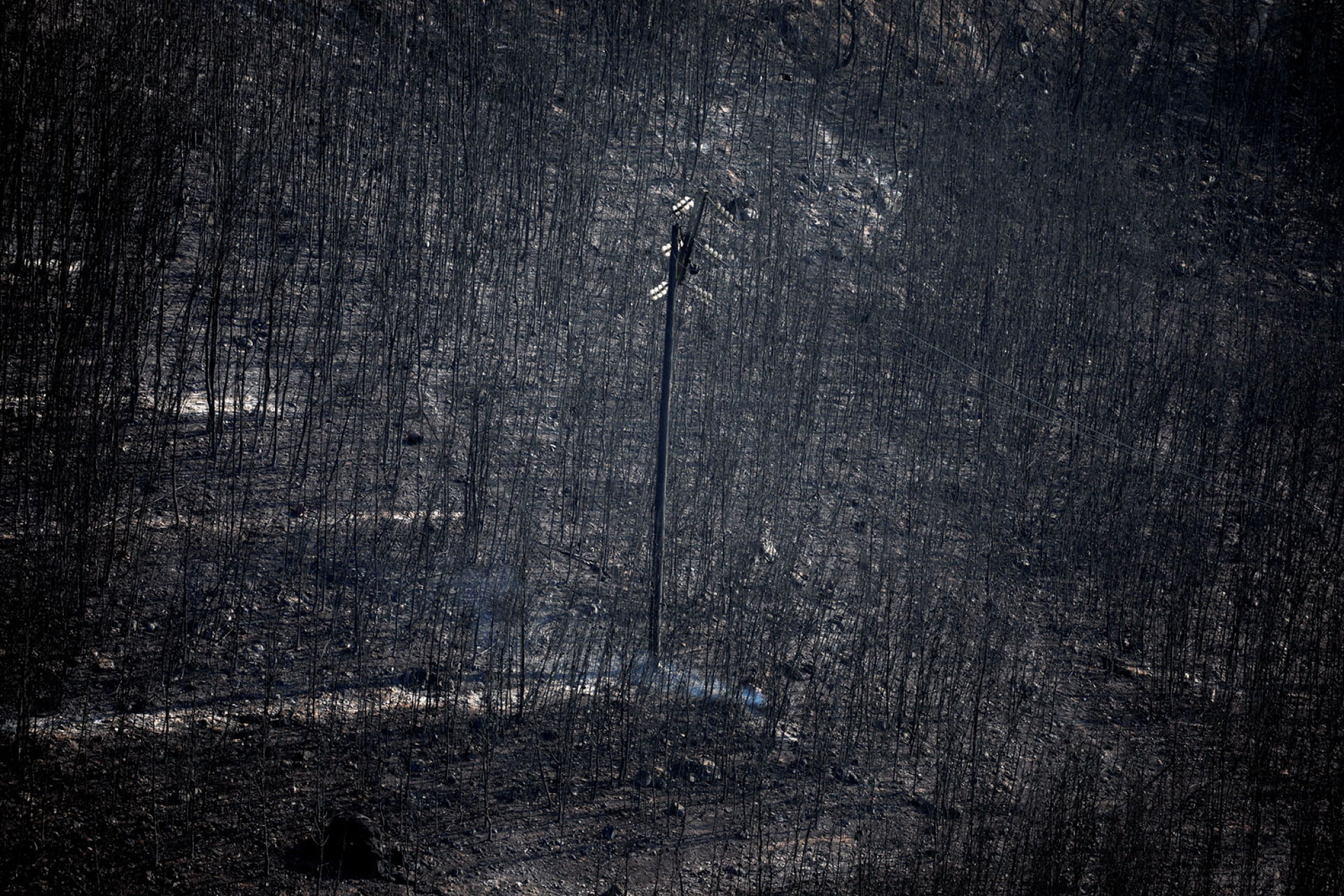 Αλκης Κωνσταντινίδης | Έκθεση φωτογραφίας, Τοπία σε κρίση
